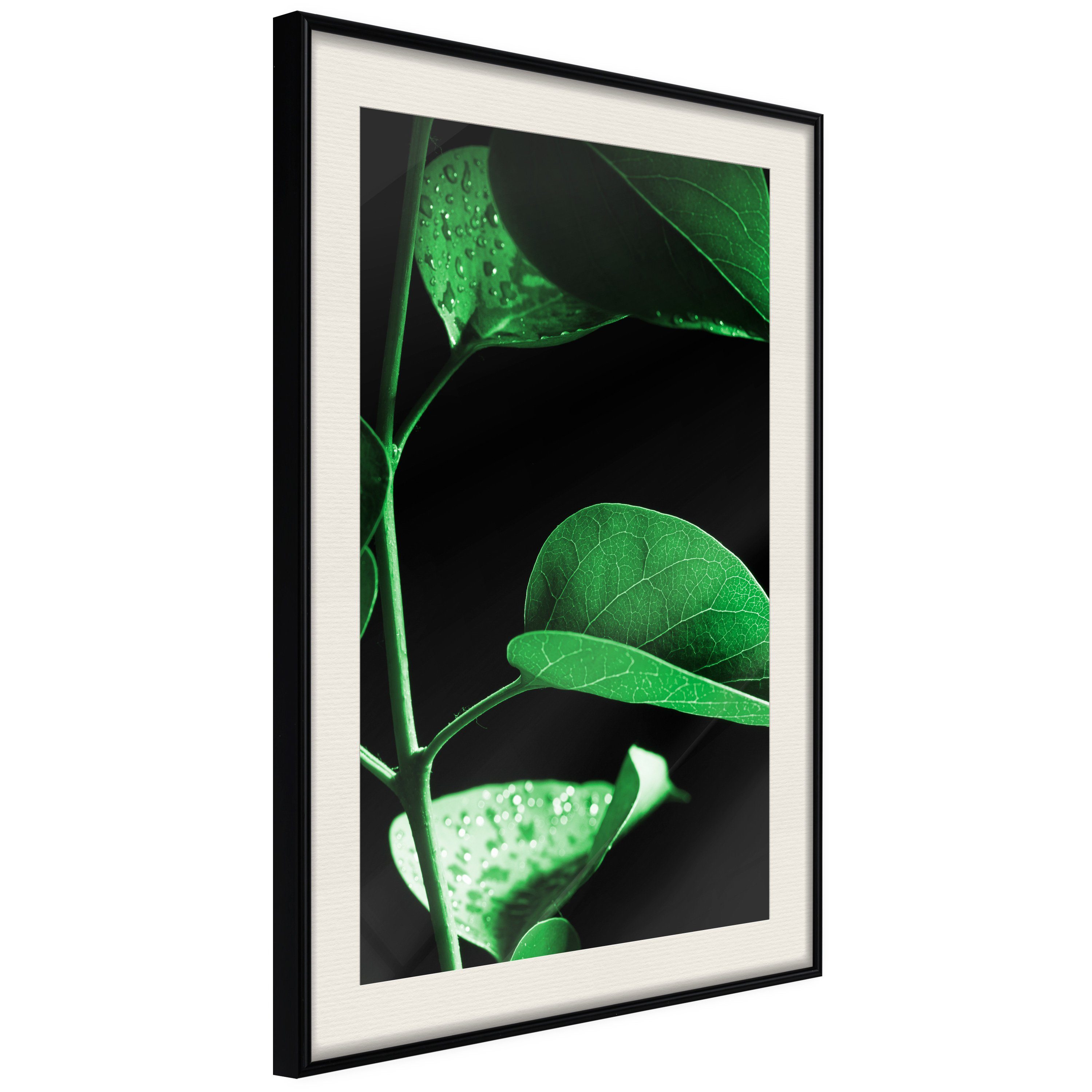 Artgeist Poster Plant in Black []