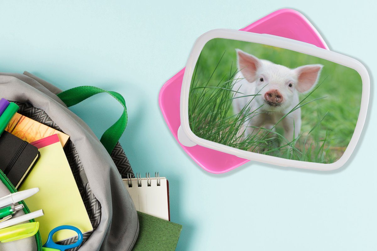 MuchoWow Lunchbox Schwein Brotdose Kinder, Snackbox, Tiere Kunststoff (2-tlg), Erwachsene, - rosa Kunststoff, Brotbox Groß, für Mädchen, 