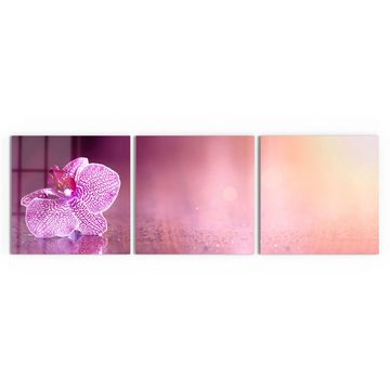 DEQORI Glasbild 'Einzelne Orchideenblüte', 'Einzelne Orchideenblüte', Glas Wandbild Bild schwebend modern