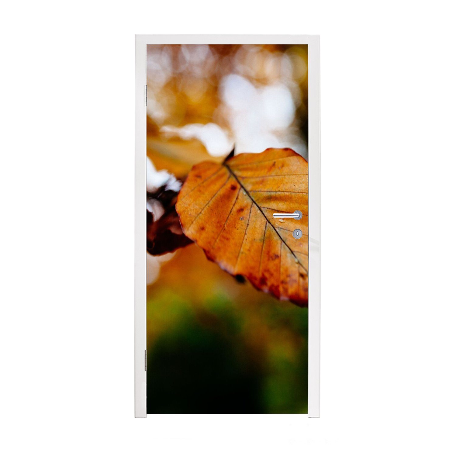 MuchoWow Türtapete Buche - Herbst - Laub, Matt, bedruckt, (1 St), Fototapete für Tür, Türaufkleber, 75x205 cm
