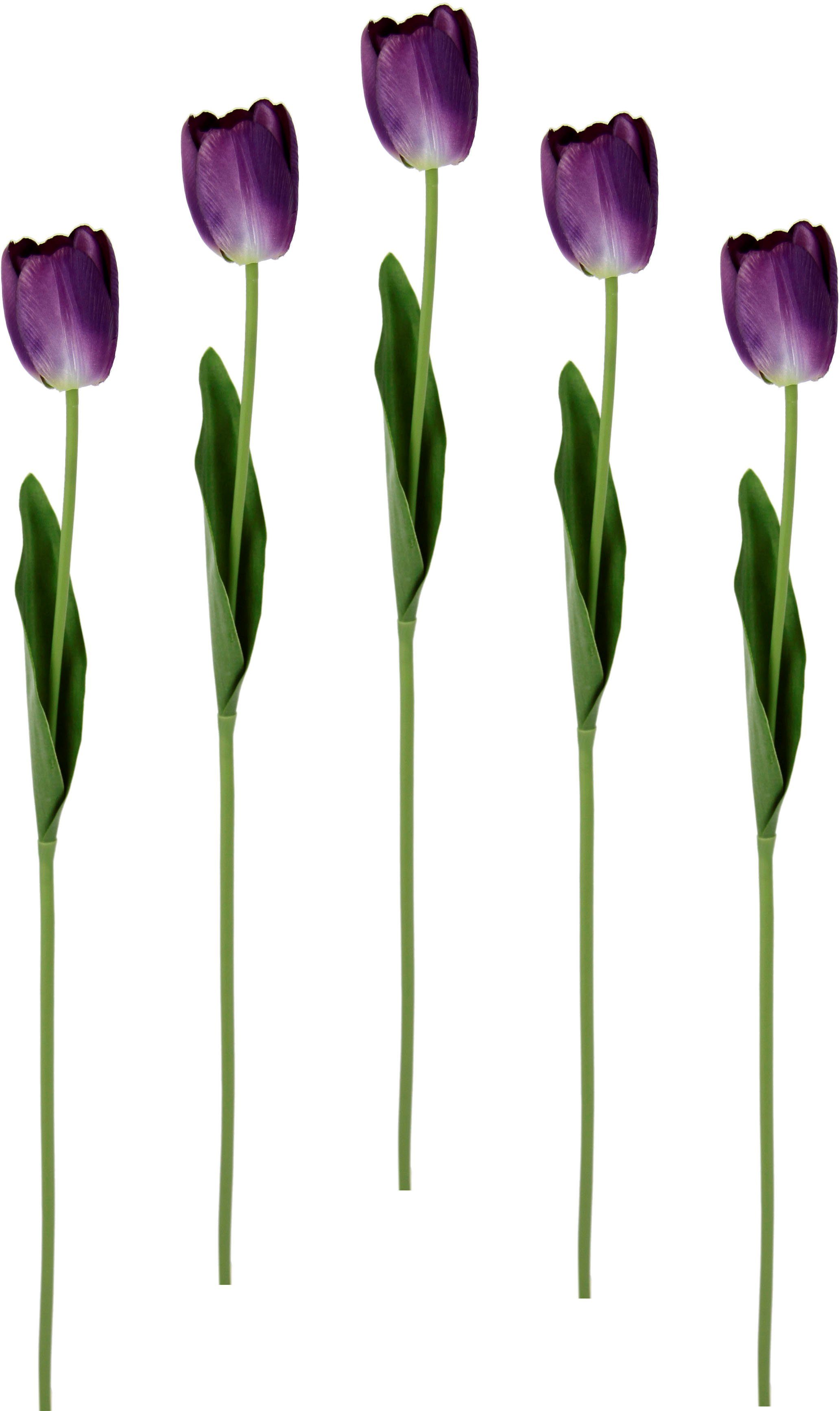 Tulpen, Set violett I.GE.A., 67 künstliche Höhe cm, Tulpenknospen, Stielblume Touch Real Kunstblume 5er Kunstblumen,