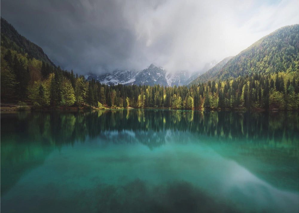 Fototapete Selbstklebend, "Menta."