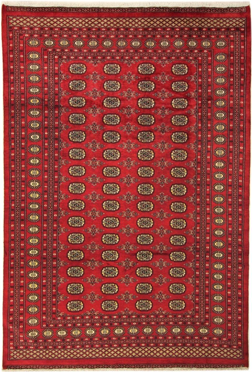 Orientteppich Pakistan Buchara 3ply 207x308 Handgeknüpfter Orientteppich, Nain Trading, rechteckig, Höhe: 8 mm