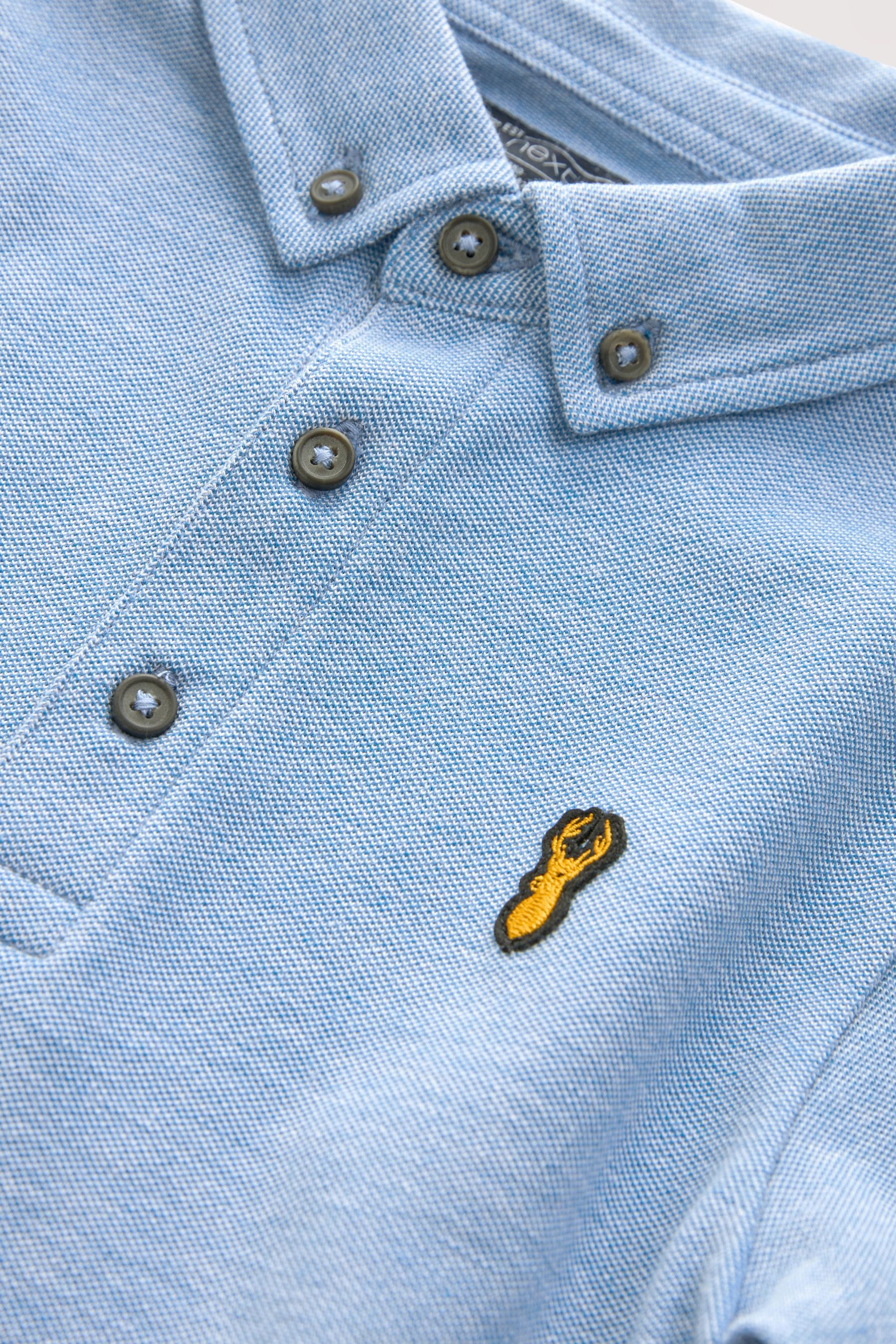 Next Poloshirt Kurzärmeliges Polo-Shirt (1-tlg)
