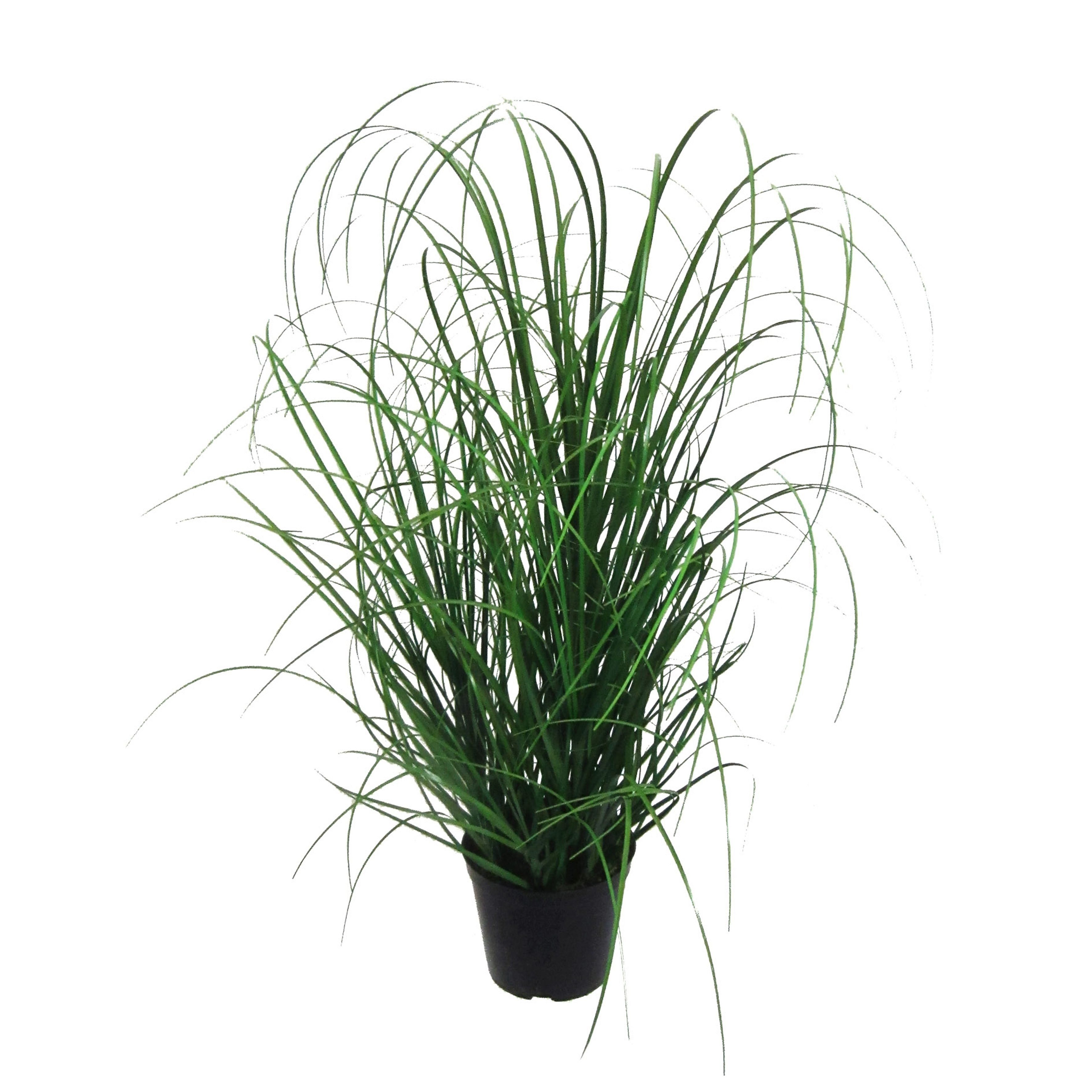 Kunstgras Gras, Creativ green, Höhe 75 günstig online kaufen
