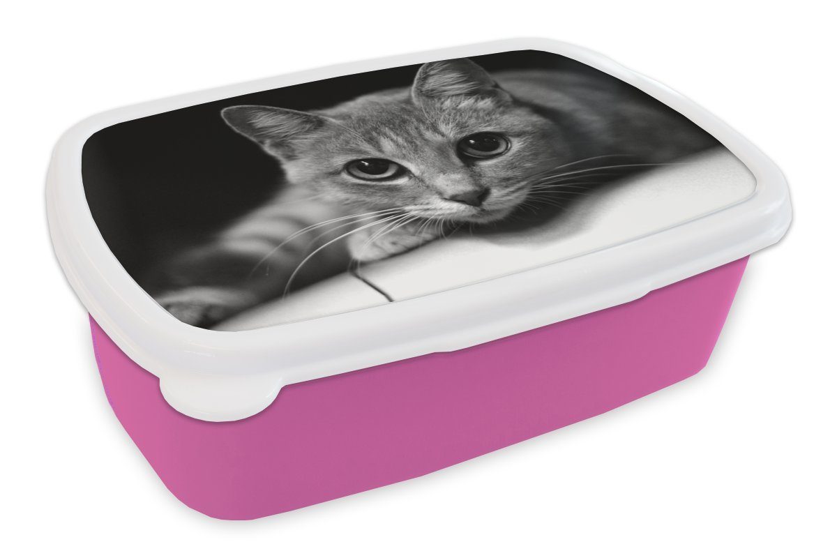 MuchoWow Lunchbox Katze mit großen Pupillen im Nahbereich - schwarz-weiß, Kunststoff, (2-tlg), Brotbox für Erwachsene, Brotdose Kinder, Snackbox, Mädchen, Kunststoff rosa