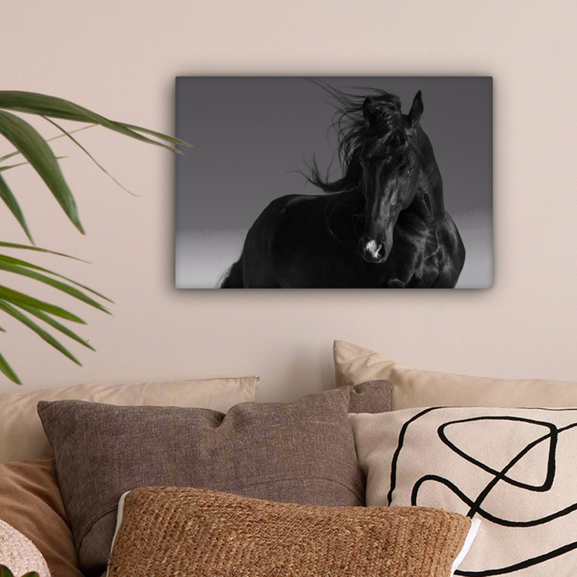 OneMillionCanvasses® Leinwandbild Pferd - Tiere - Mähne - Schwarz, Fotodruc günstig online kaufen