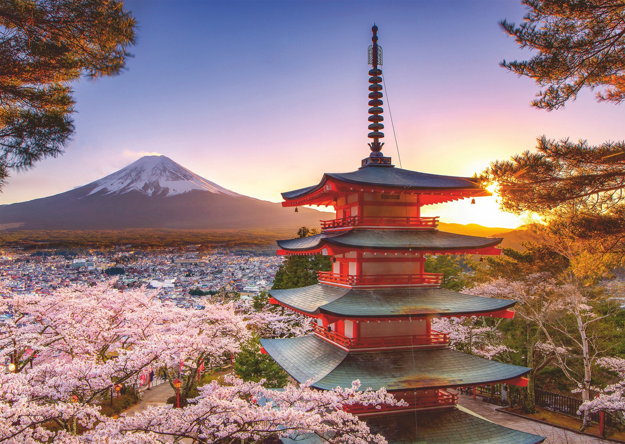 Ravensburger Puzzle Kirschblüte in Japan, 1000 günstig online kaufen
