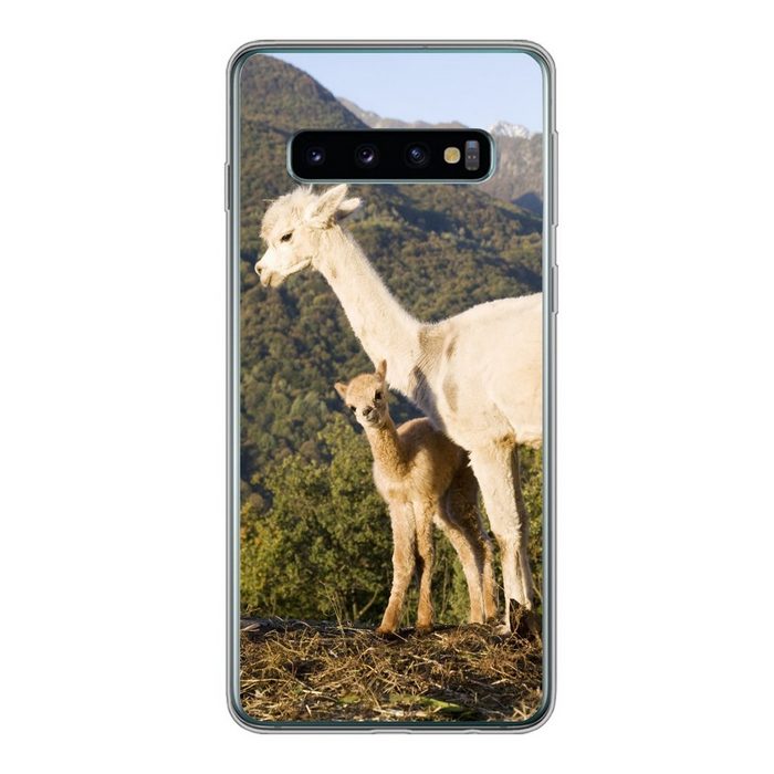 MuchoWow Handyhülle Alpakas - Berge - Natur Phone Case Handyhülle Samsung Galaxy S10 Silikon Schutzhülle