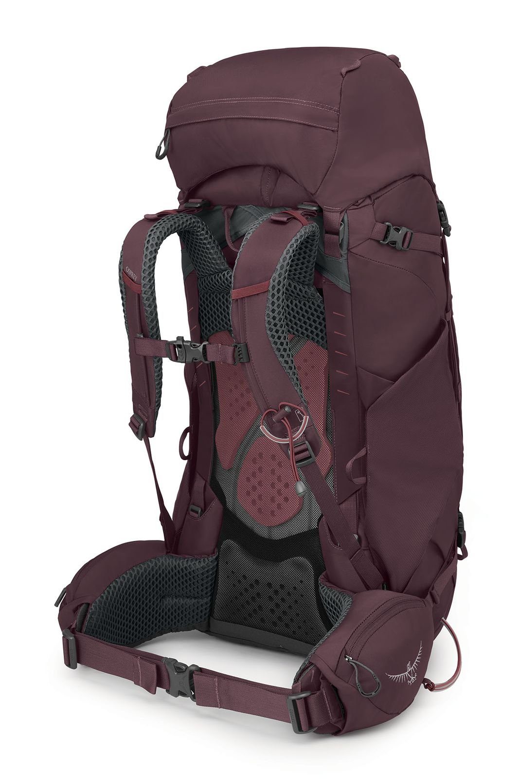 (Set) Osprey Purple Rucksack Elderberry