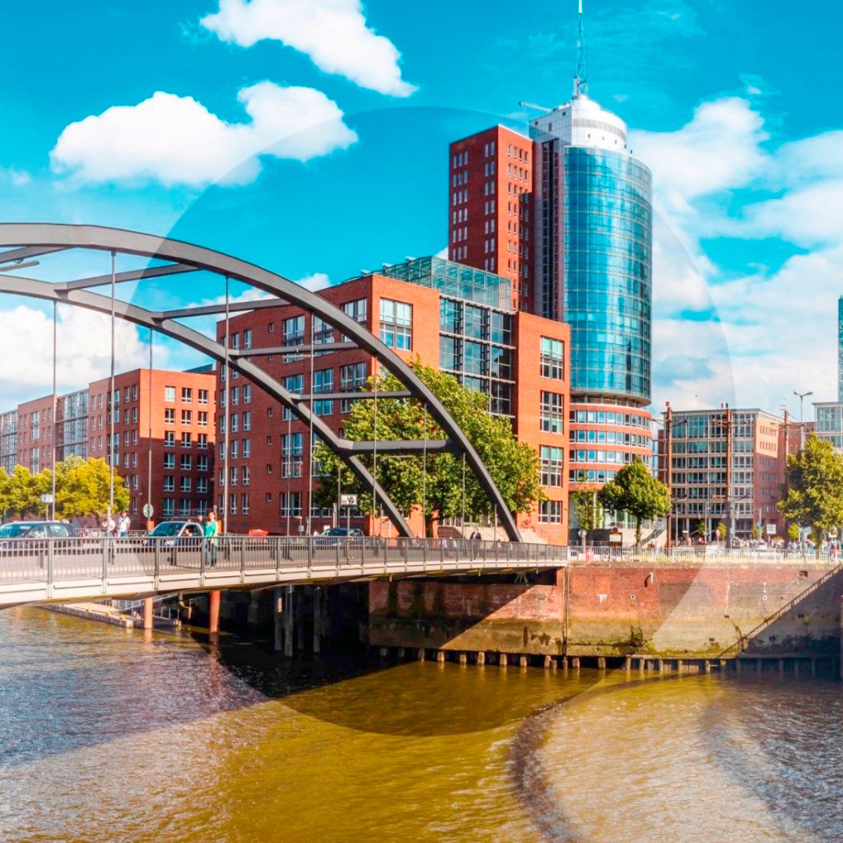 Hama Polarisations-Filter 62mm Pol-Filter circular Vergütet Foto Objektivzubehör (Polarisations-Filter, Farbneutral, für kräftige Farben)