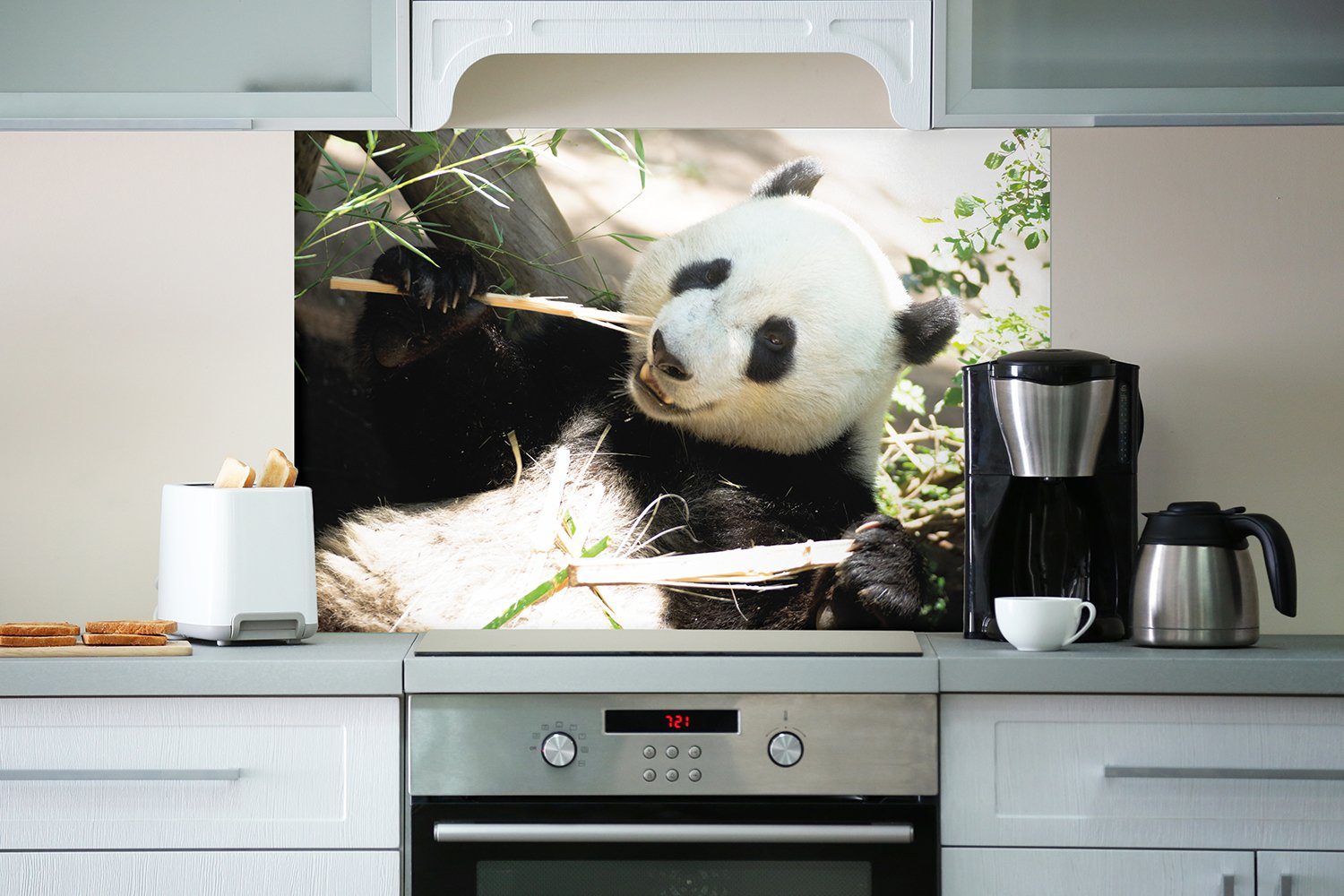 Panda Bambusstücken, knabbert Wallario (1-tlg) Küchenrückwand an