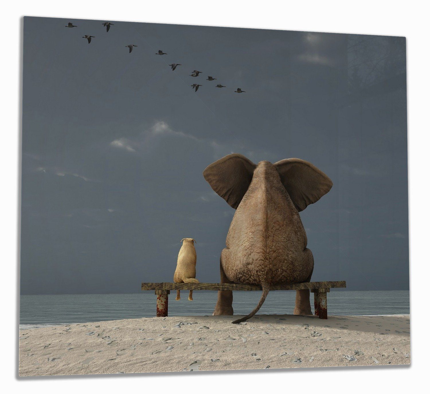 tlg., inkl. Wallario auf 5mm sitzen und einer Noppen), Größen Elefant verschiedene (Glasplatte, 1 Bank, ESG-Sicherheitsglas, Hund Herd-Abdeckplatte