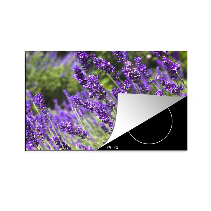 MuchoWow Herdblende-/Abdeckplatte Leuchtend lila Lavendel in der Natur Vinyl (1 tlg) induktionskochfeld Schutz für die küche Ceranfeldabdeckung