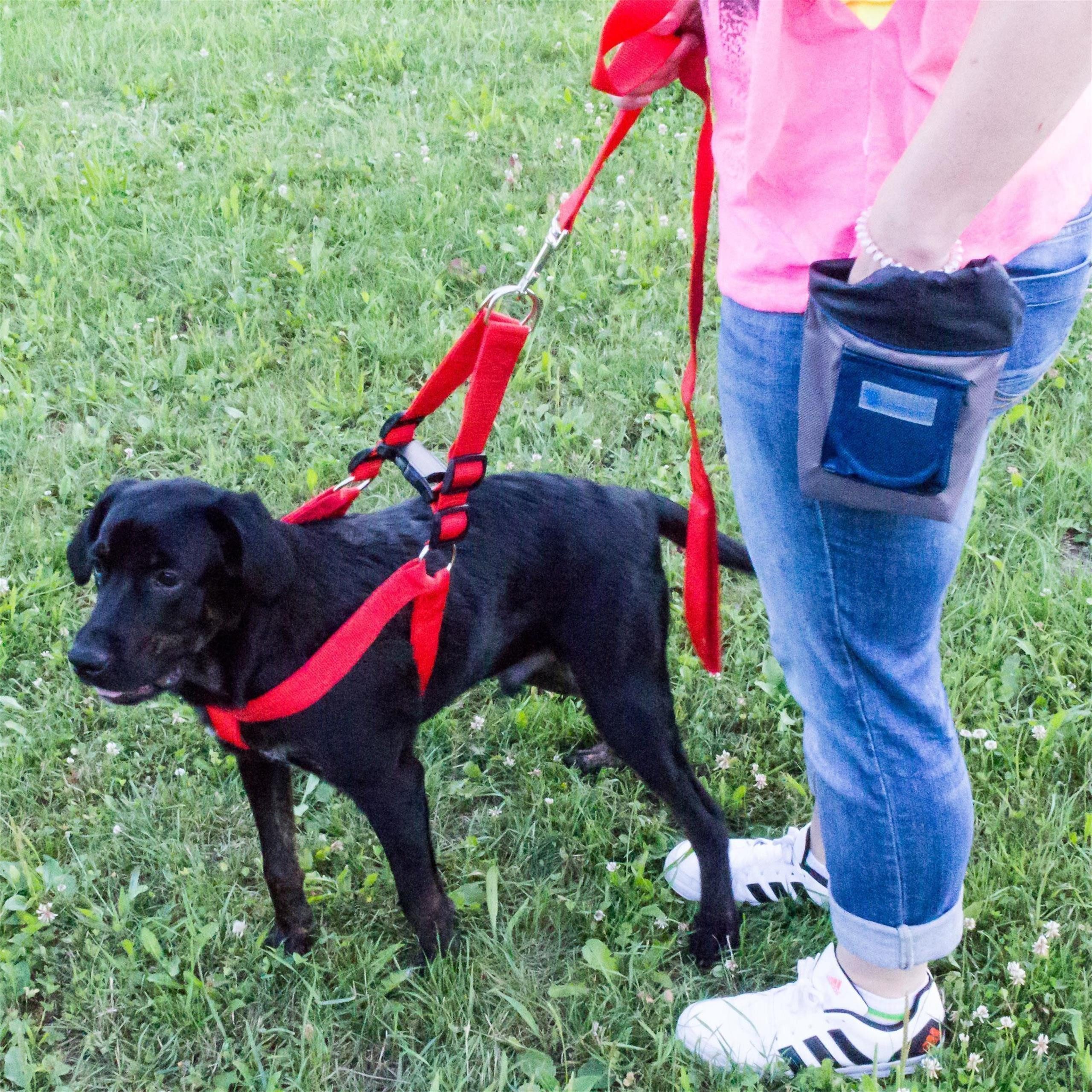 Lantelme Hunde-Geschirr Set für große Hunde Brustgeschirr Hundeleine Leckerlitasche Set Nylon