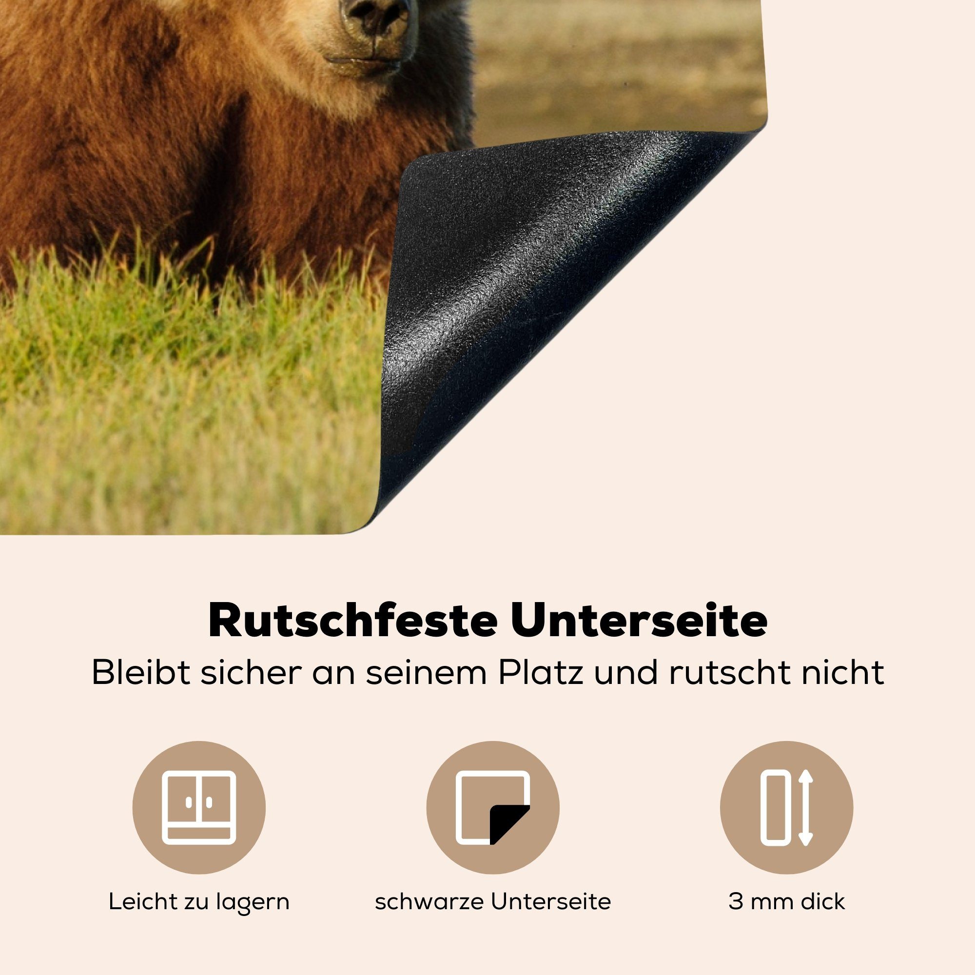 Bär - MuchoWow Vinyl, Herdblende-/Abdeckplatte cm, Ceranfeldabdeckung (1 tlg), Gras, Induktionskochfeld Schutz für 81x52 Jung - küche, die