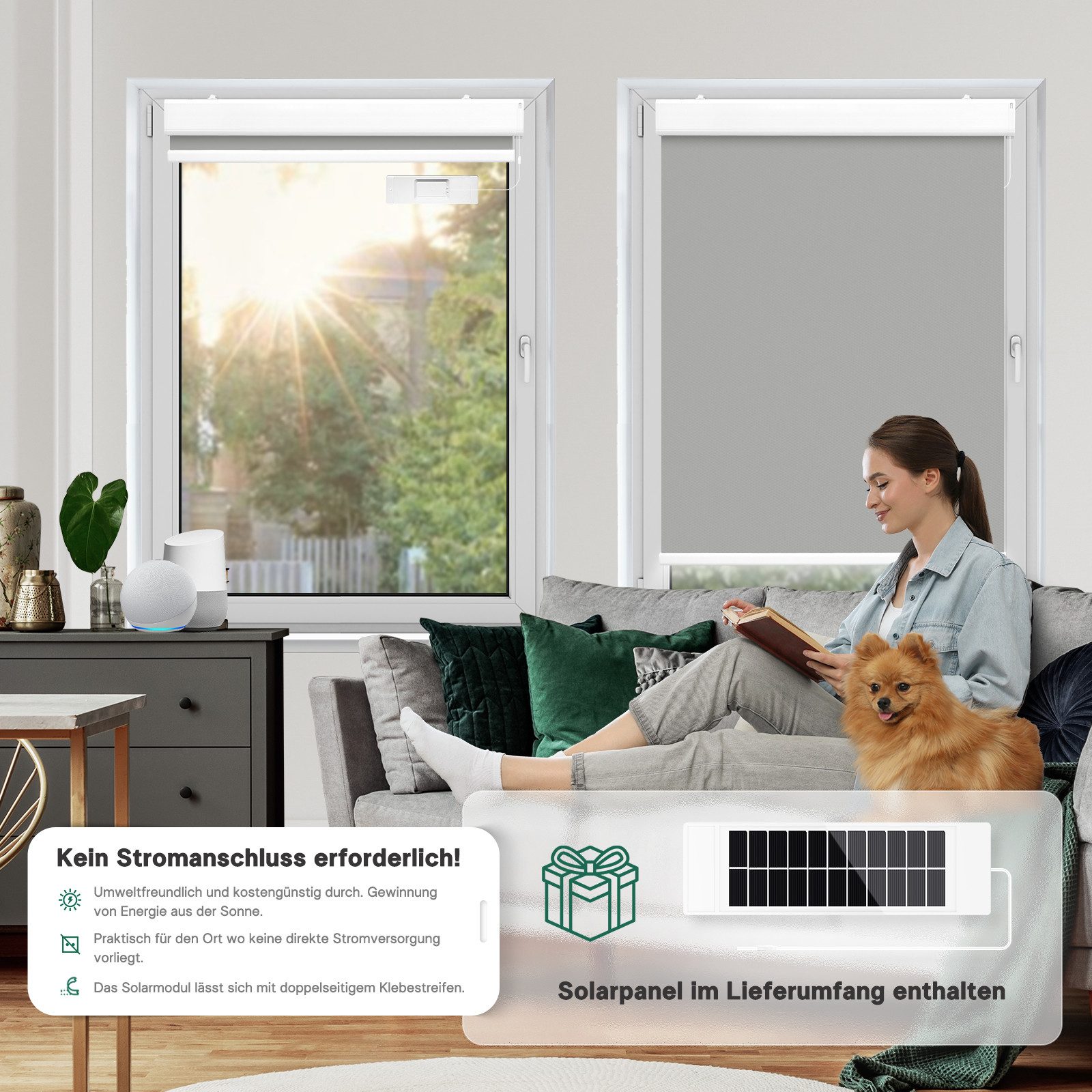 Elektrisches Rollo Thermorollo, mit Fernbedienung Verdunkelung Lithiumbatte günstig online kaufen