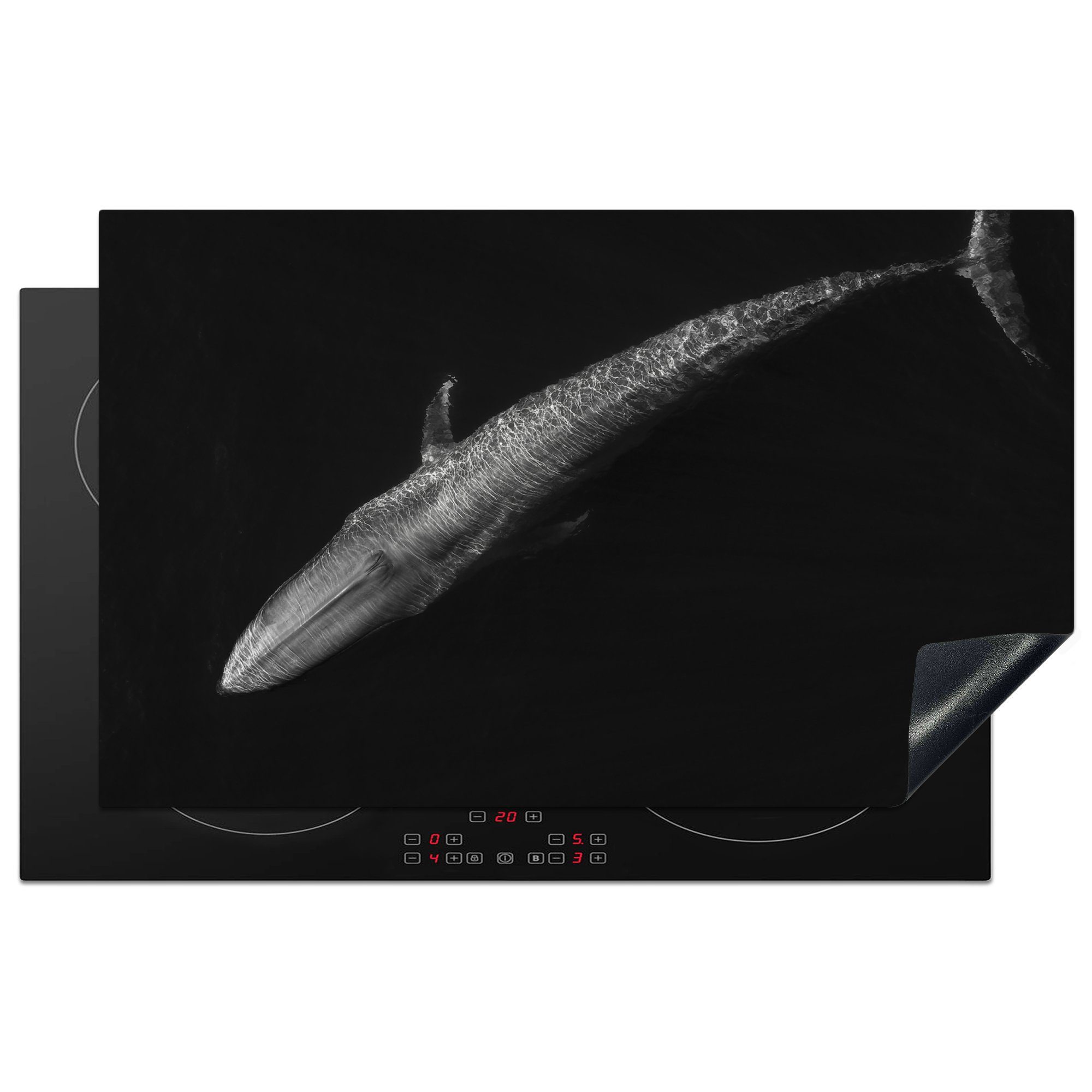 MuchoWow Herdblende-/Abdeckplatte Blauwal - Schwarz - Weiß, Vinyl, (1 tlg), 83x51 cm, Ceranfeldabdeckung, Arbeitsplatte für küche