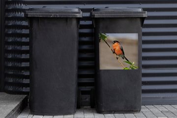 MuchoWow Wandsticker Ein englischer und ein männlicher Gimpel ruhen sich auf einem kleinen (1 St), Mülleimer-aufkleber, Mülltonne, Sticker, Container, Abfalbehälter