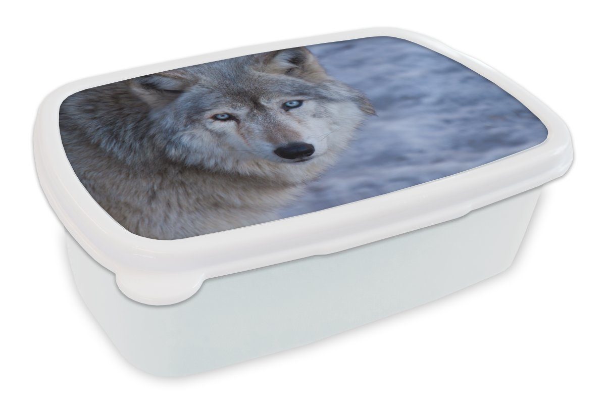 Kunststoff, Erwachsene, eines grauen weiß Brotbox und Lunchbox für Mädchen Jungs und Wolfes, (2-tlg), Brotdose, Kopf MuchoWow Kinder für
