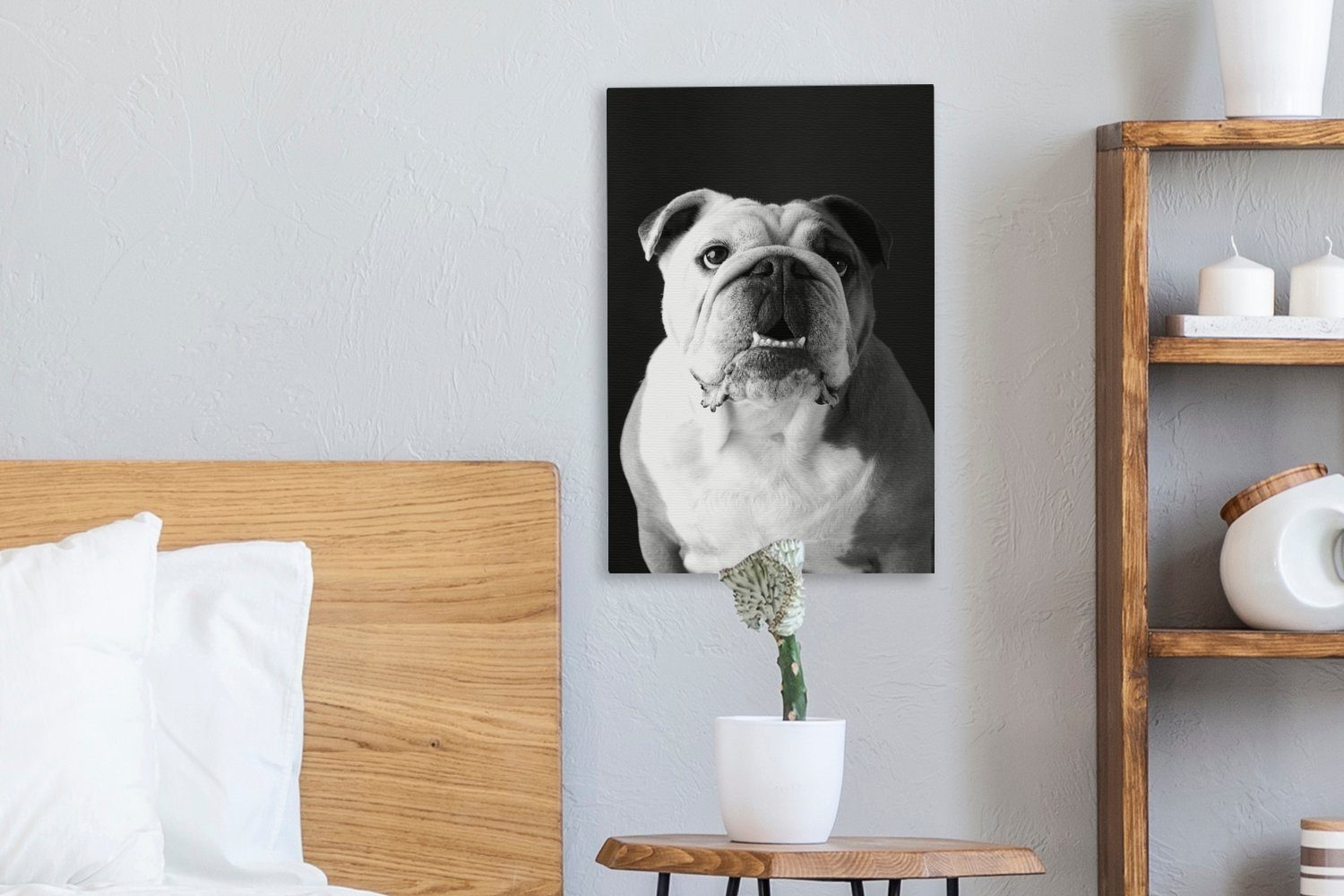 Bulldogge St), Gemälde, schwarz inkl. - fertig 20x30 weiß, (1 einer und Porträt Englischen Leinwandbild cm Zackenaufhänger, bespannt OneMillionCanvasses® Leinwandbild