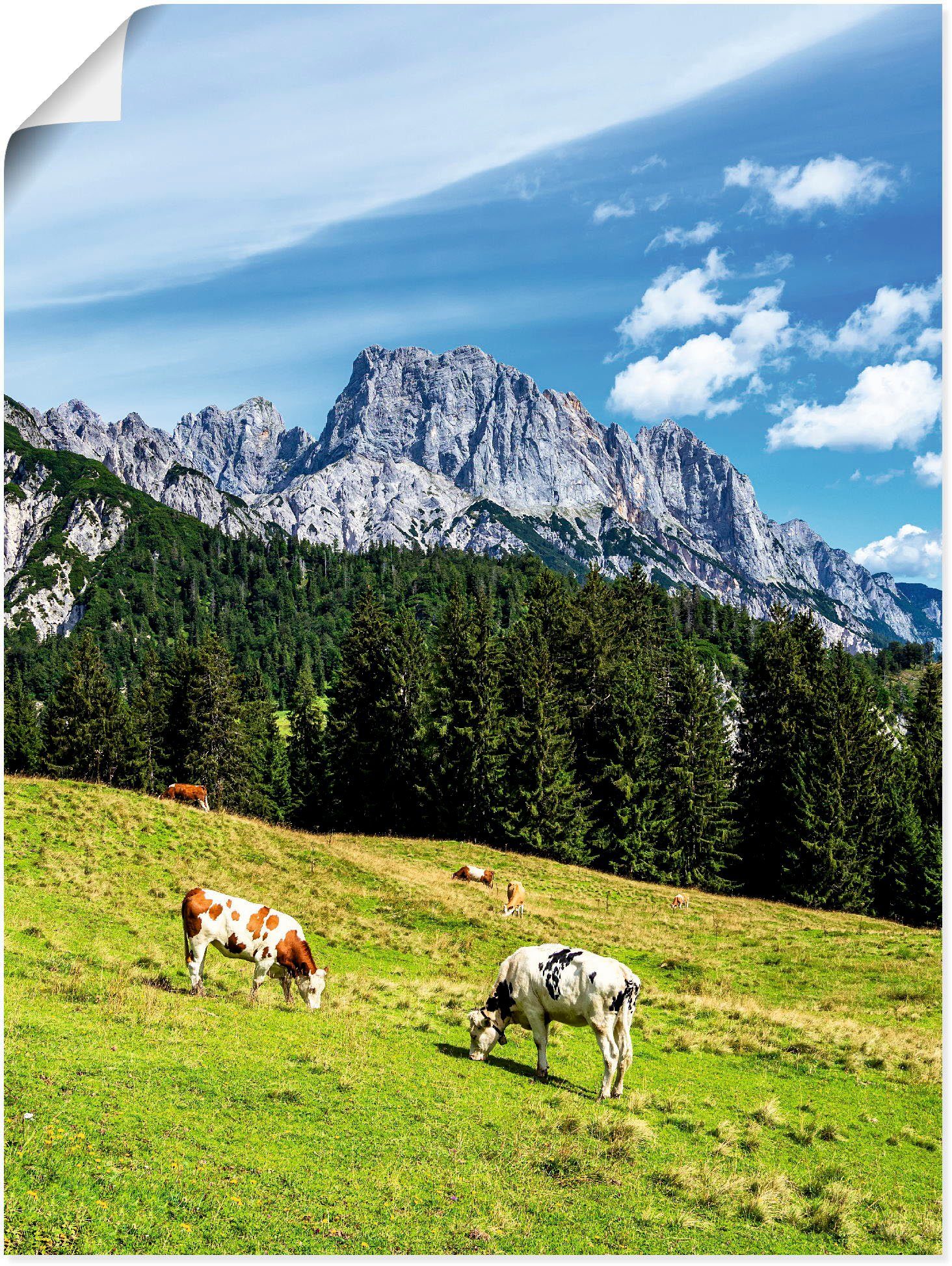 Artland Wandbild Leinwandbild, Litzlalm die Alpenbilder (1 als oder Poster in mit Größen versch. Berge & Alubild, St), Wandaufkleber Blick Kühen, auf