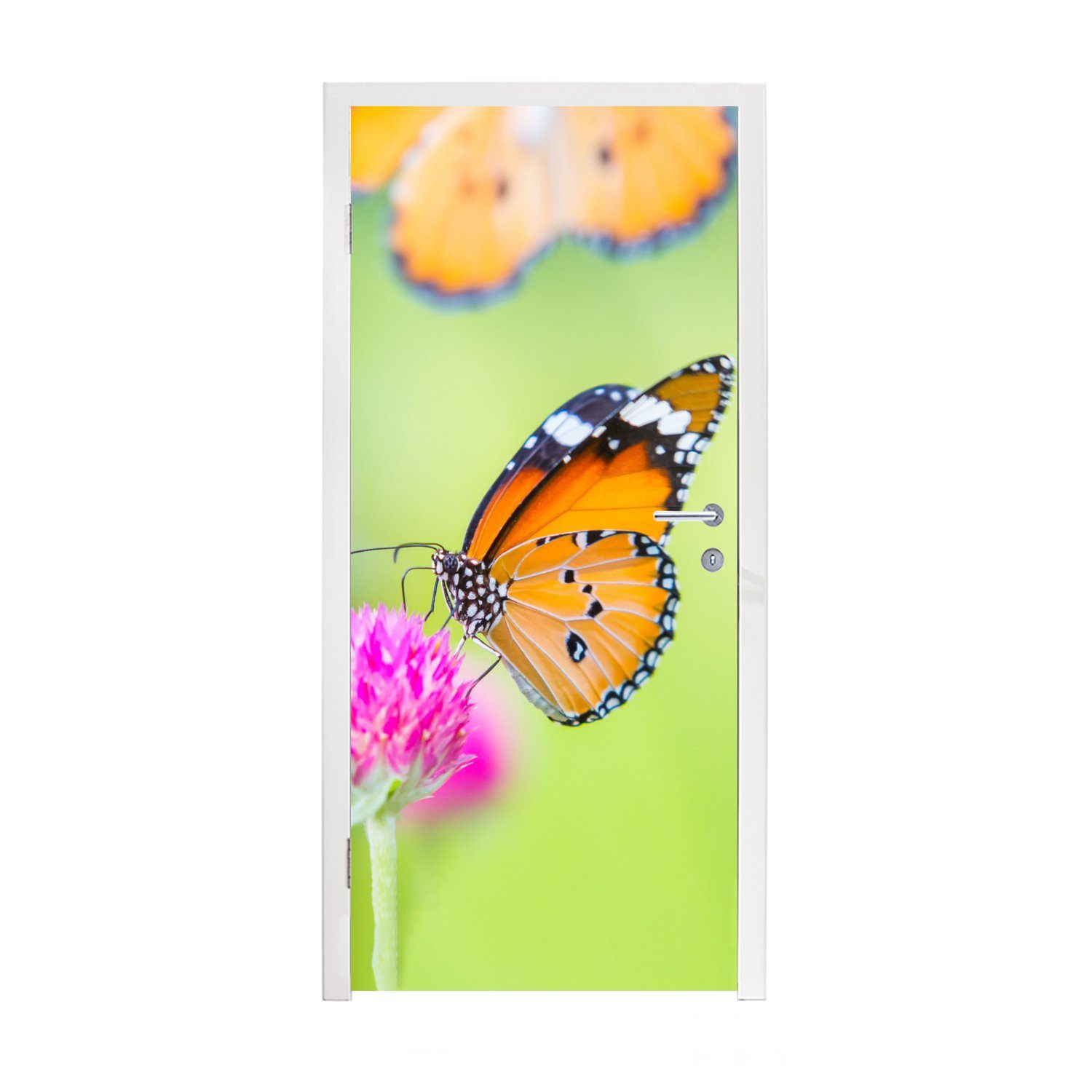 MuchoWow Türtapete Insekten - Schmetterlinge - Blumen, Matt, bedruckt, (1 St), Fototapete für Tür, Türaufkleber, 75x205 cm