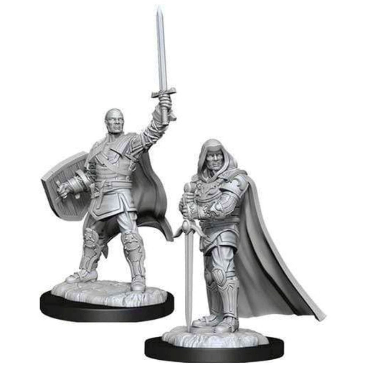 Spielfigur D&D Nolzur's Marvelous Miniatures Human Paladin Male