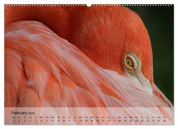 CALVENDO Wandkalender Flamingos Think pink (Premium-Calendar 2023 DIN A2 Landscape)