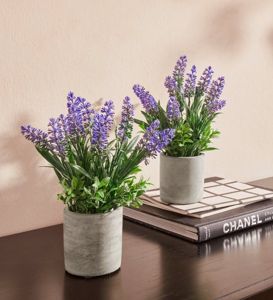 Kunstpflanze Effetamo Lavendel, Guido Maria Kretschmer Home&Living, Höhe 23  cm, im Topf, 2er Set