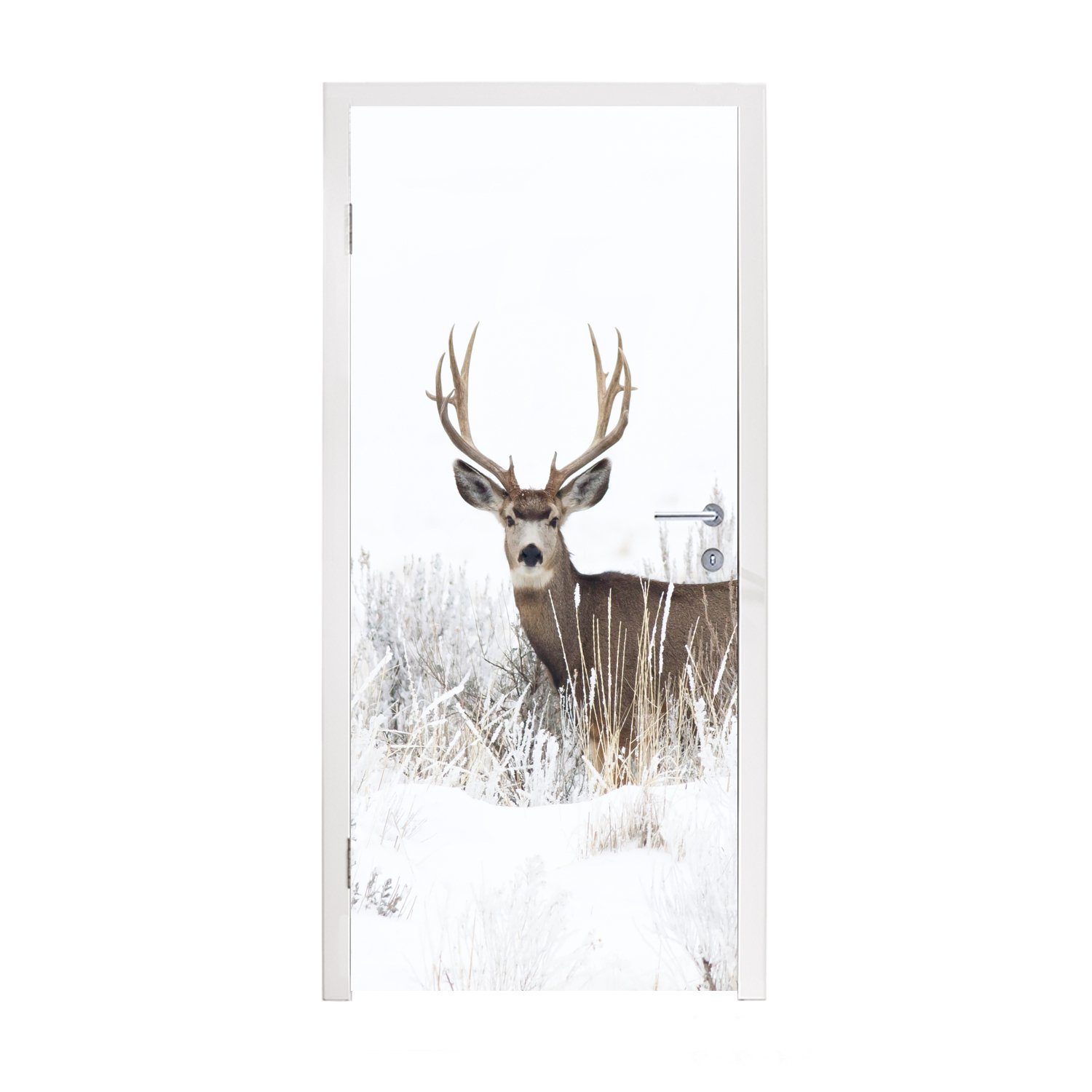MuchoWow Türtapete Hirsche - Winter - Schnee - Tiere - Jahreszeiten - Weiß, Matt, bedruckt, (1 St), Fototapete für Tür, Türaufkleber, 75x205 cm