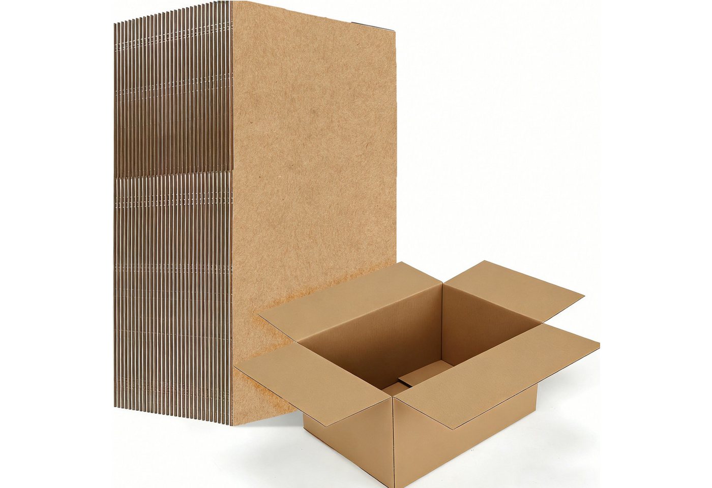PACIEA Karton Flacher Versandkarton 210x110x70mm - Für Dokumente, Bücher & Poster