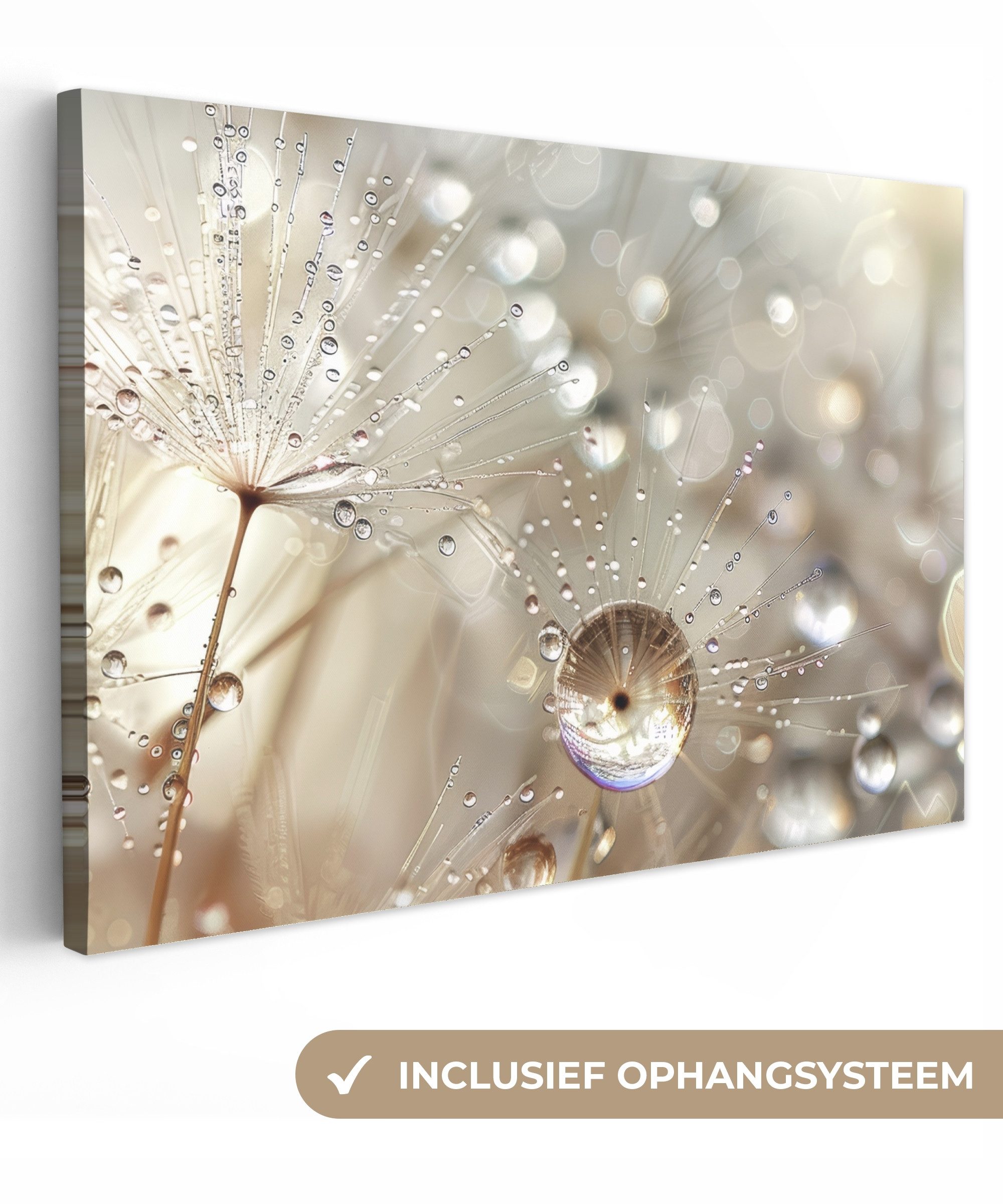 OneMillionCanvasses® Leinwandbild Natur - Blumen - Tropfen - Regen, Fotodruck (1 St), Leinwand Bilder Klein, Wand Dekoration Aesthetic 30x20 cm