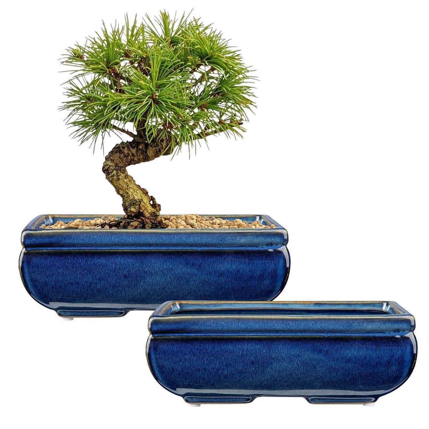 LuxusKollektion Blumentopf Bonsai Topf Keramik Blau 22cm (2 St)