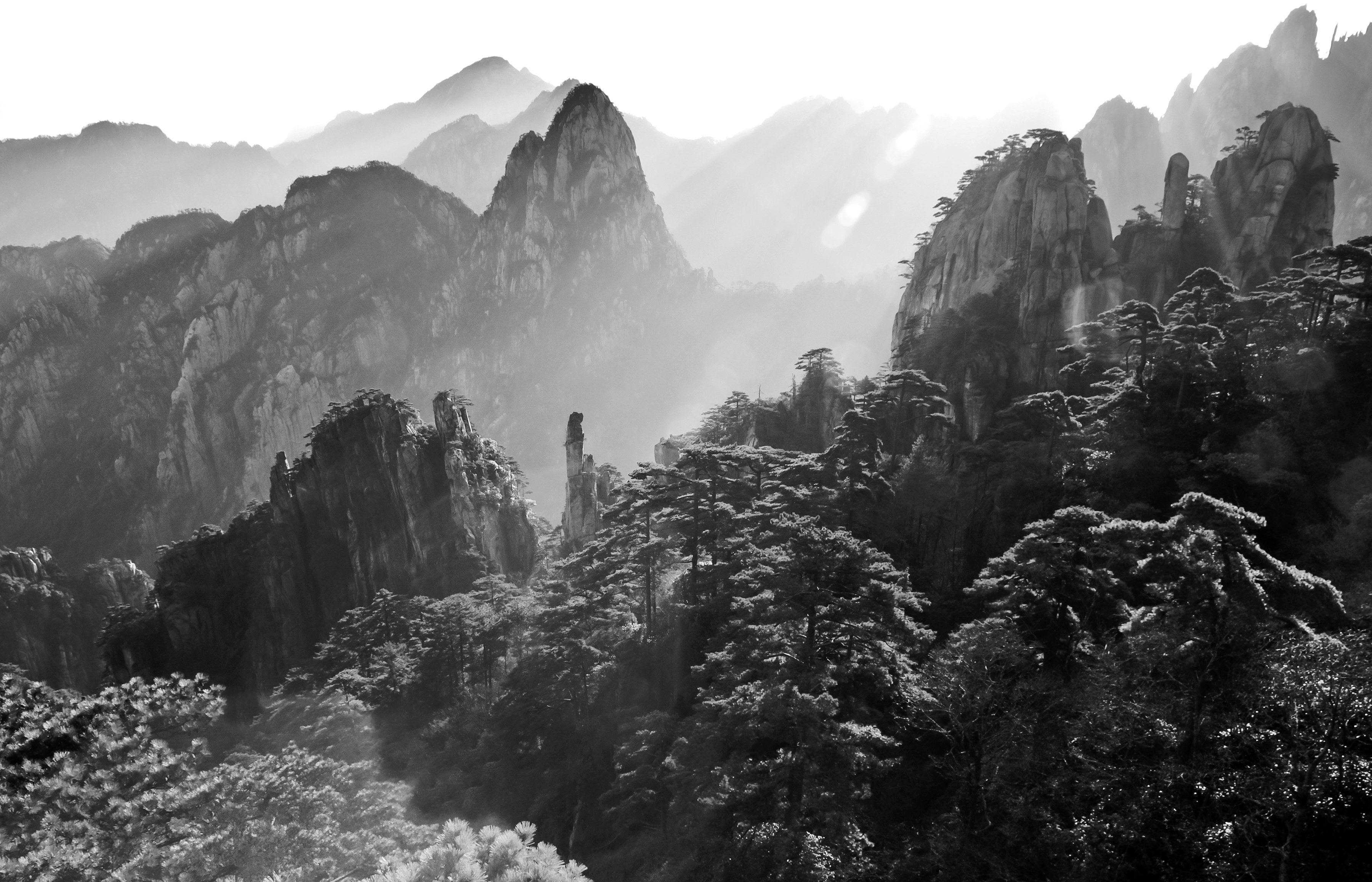 Fototapete Landschaft Schwarz & Weiß