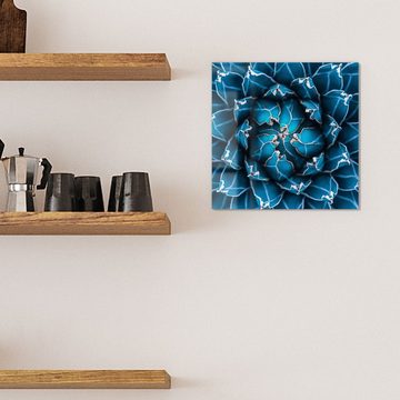 DEQORI Magnettafel 'Detailansicht einer Agave', Whiteboard Pinnwand beschreibbar