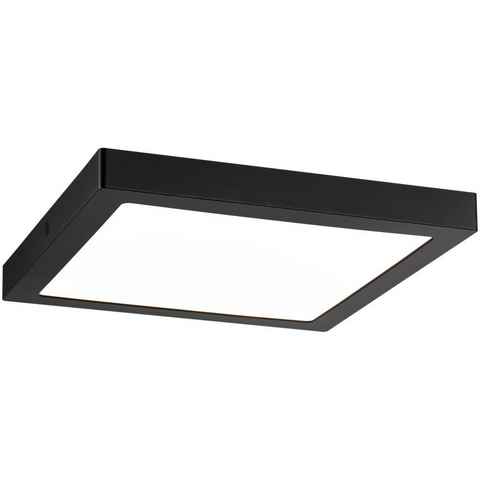 Paulmann LED Deckenleuchte Abia eckig 300x300mm 16,5W 4.000K, LED fest integriert, Warmweiß, LED-Modul, LED Deckenlampe