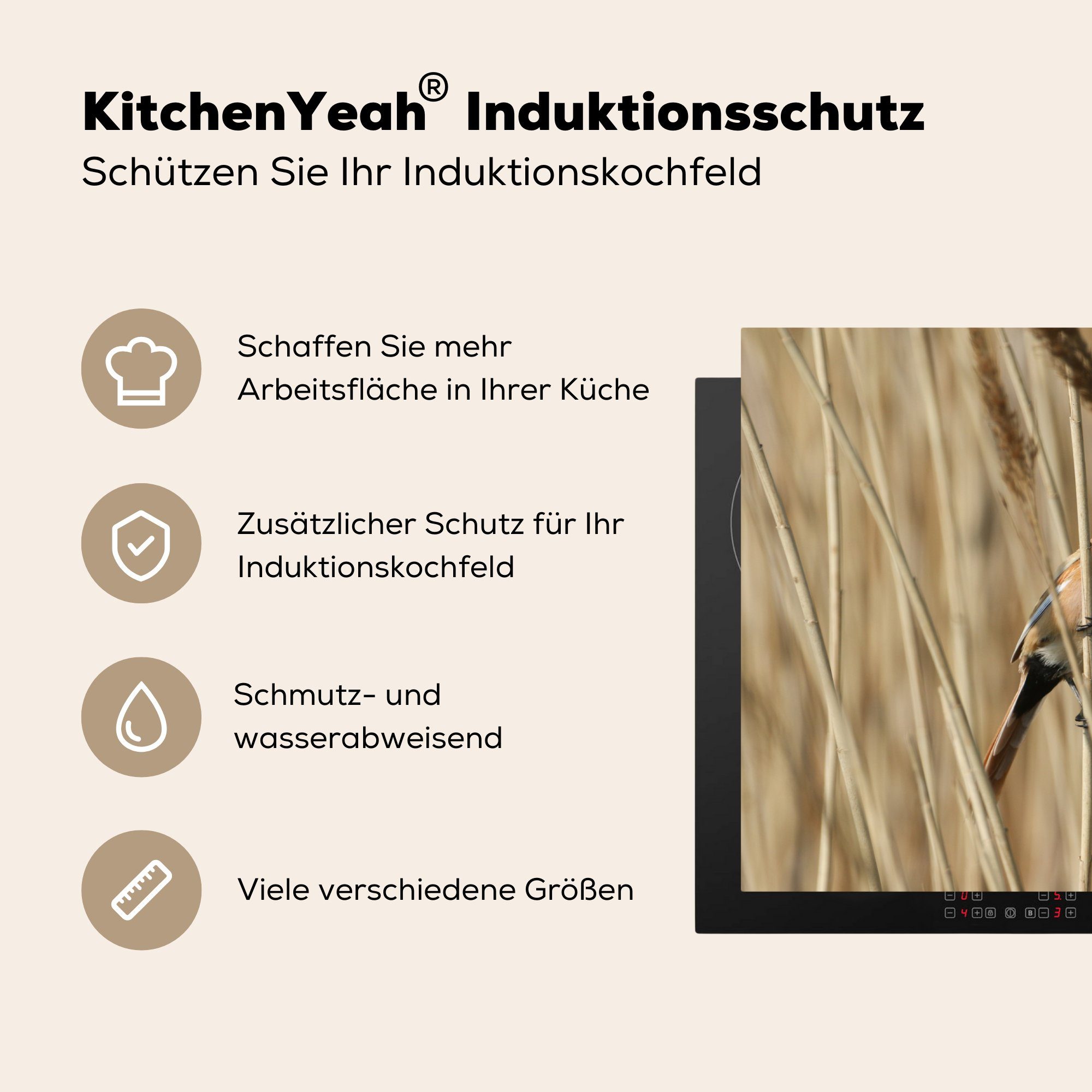 cm, Vinyl, für Induktionskochfeld Schutz - Ceranfeldabdeckung die MuchoWow Gras, tlg), 81x52 Herdblende-/Abdeckplatte (1 Bartmeisenblume küche,
