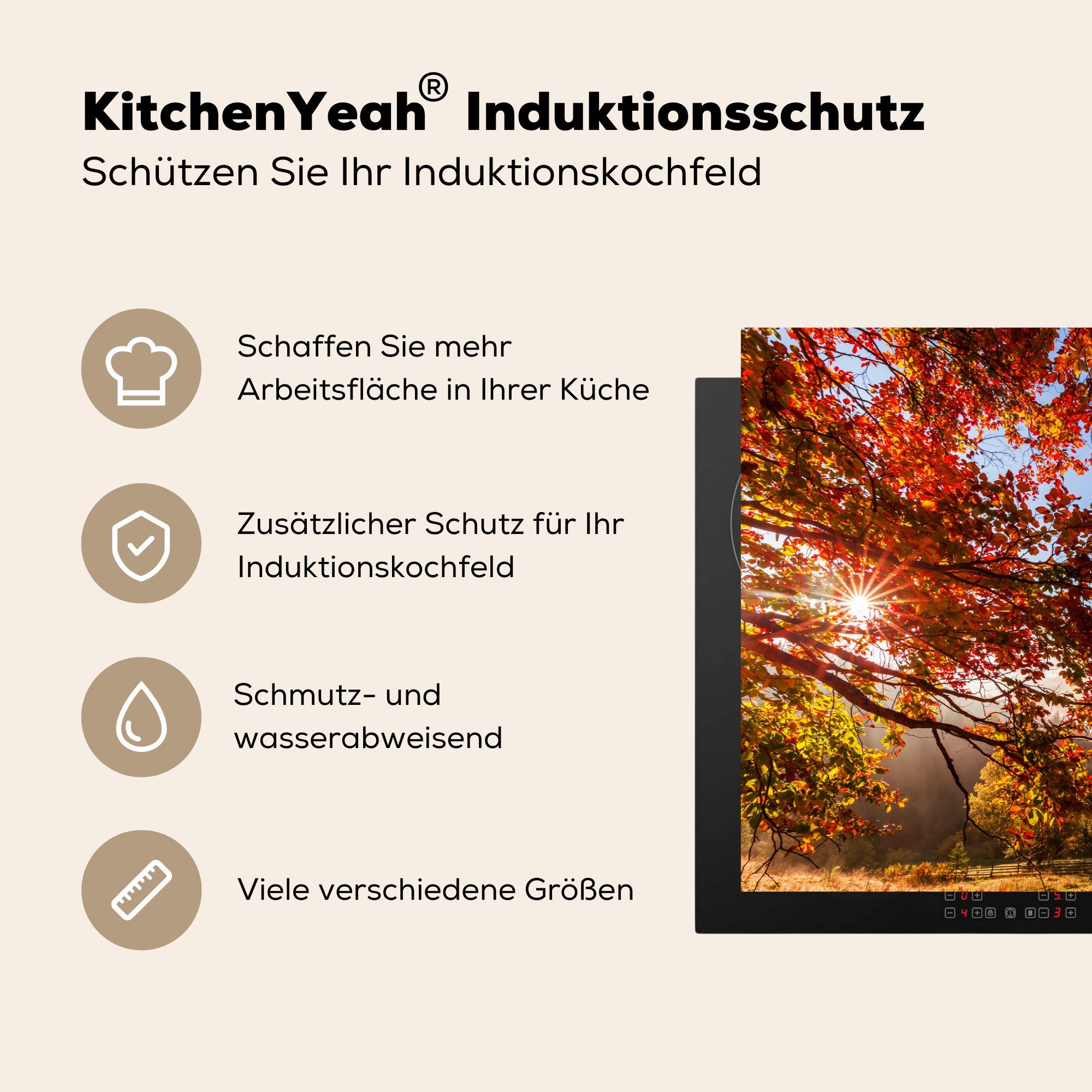 Licht, küche, MuchoWow cm, Ceranfeldabdeckung für Herdblende-/Abdeckplatte - - die Herbst tlg), (1 81x52 Schutz Baum Induktionskochfeld Vinyl,