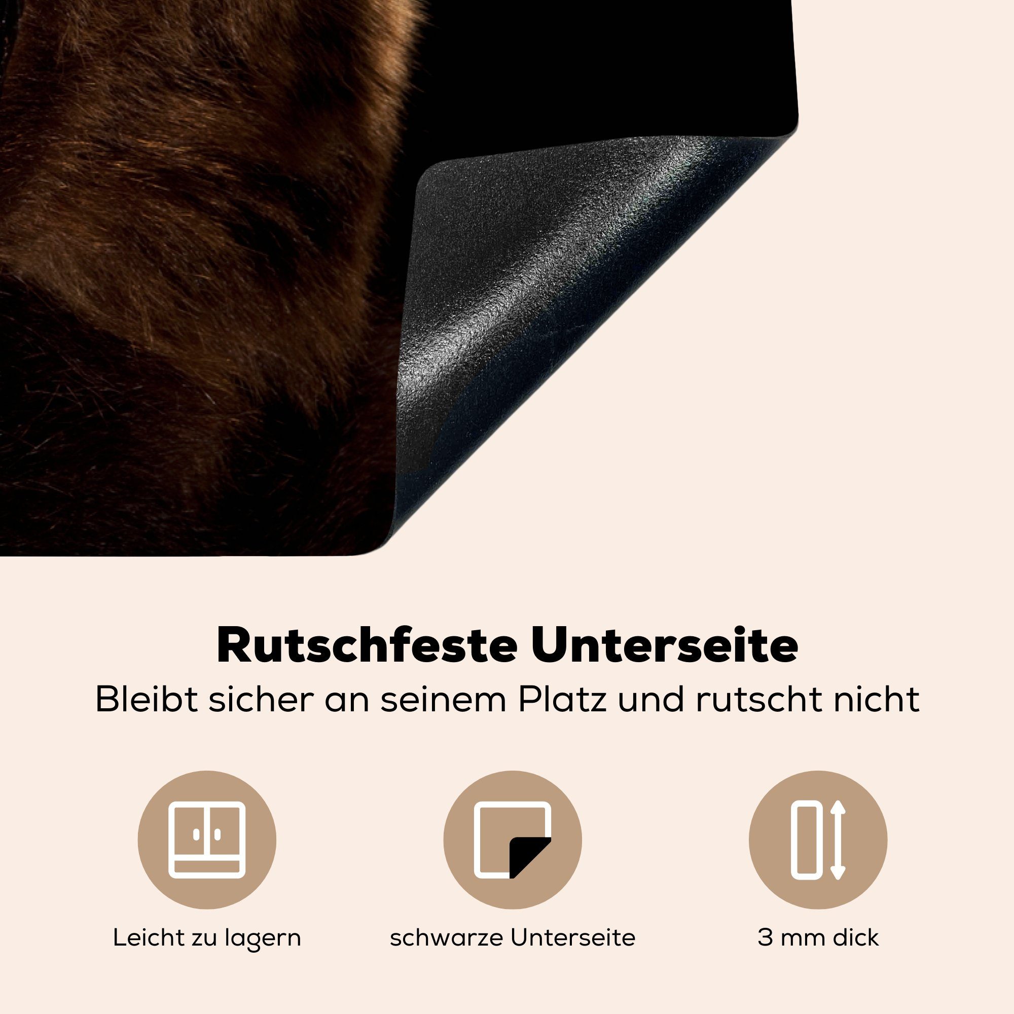 81x52 die küche, (1 Ceranfeldabdeckung Vinyl, tlg), Induktionskochfeld Bär Ausgestopfter Schutz MuchoWow cm, auf schwarzem für Herdblende-/Abdeckplatte Hintergrund,