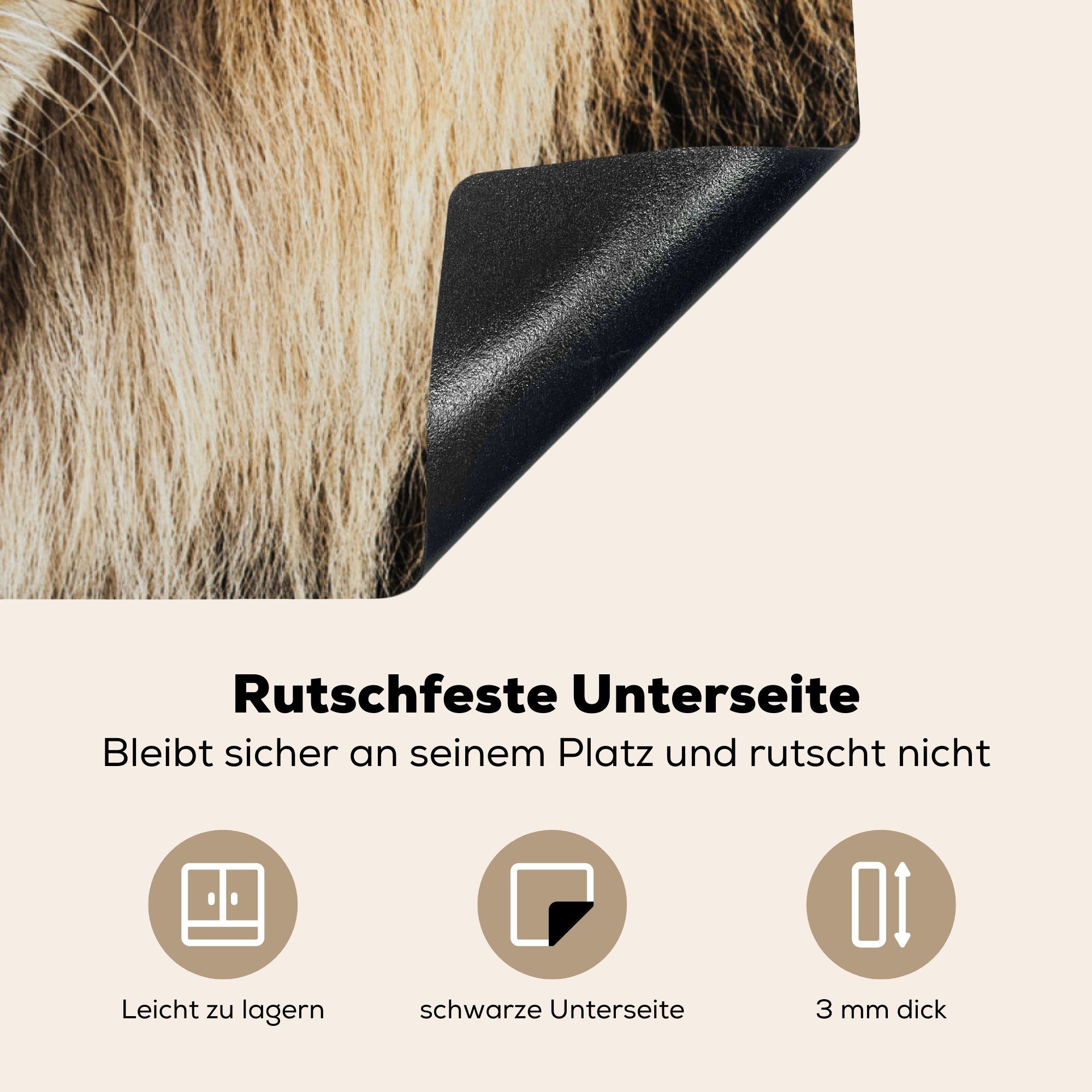 Raubtier, - MuchoWow küche Herdblende-/Abdeckplatte Ceranfeldabdeckung, - cm, tlg), Vinyl, (1 Löwen Farben Arbeitsplatte 78x78 für