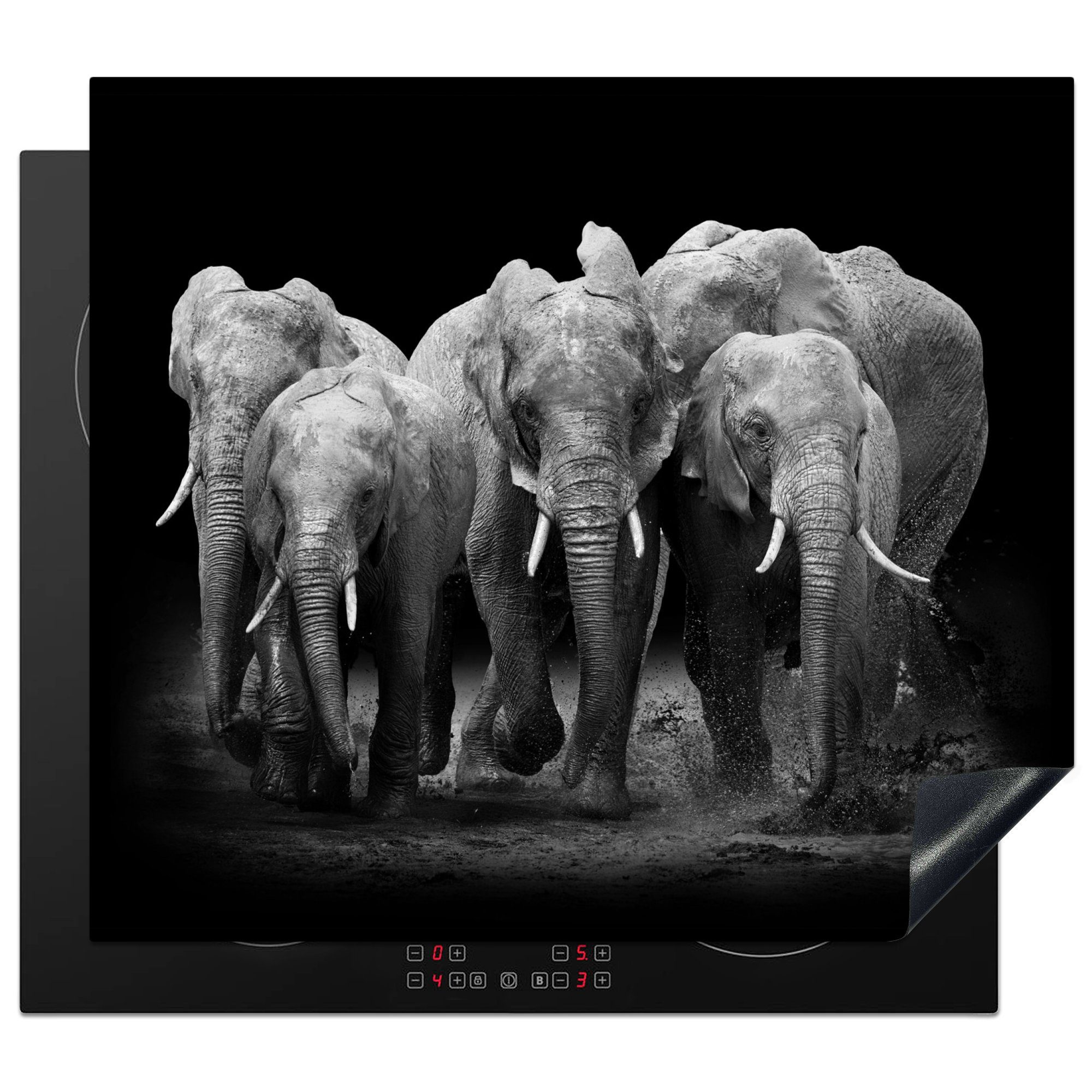 MuchoWow Herdblende-/Abdeckplatte Elefant - Schwarz - Weiß - Tiere, Vinyl, (1 tlg), 58x51 cm, Küchen Dekoration für Induktionsherd, Induktionskochfeld