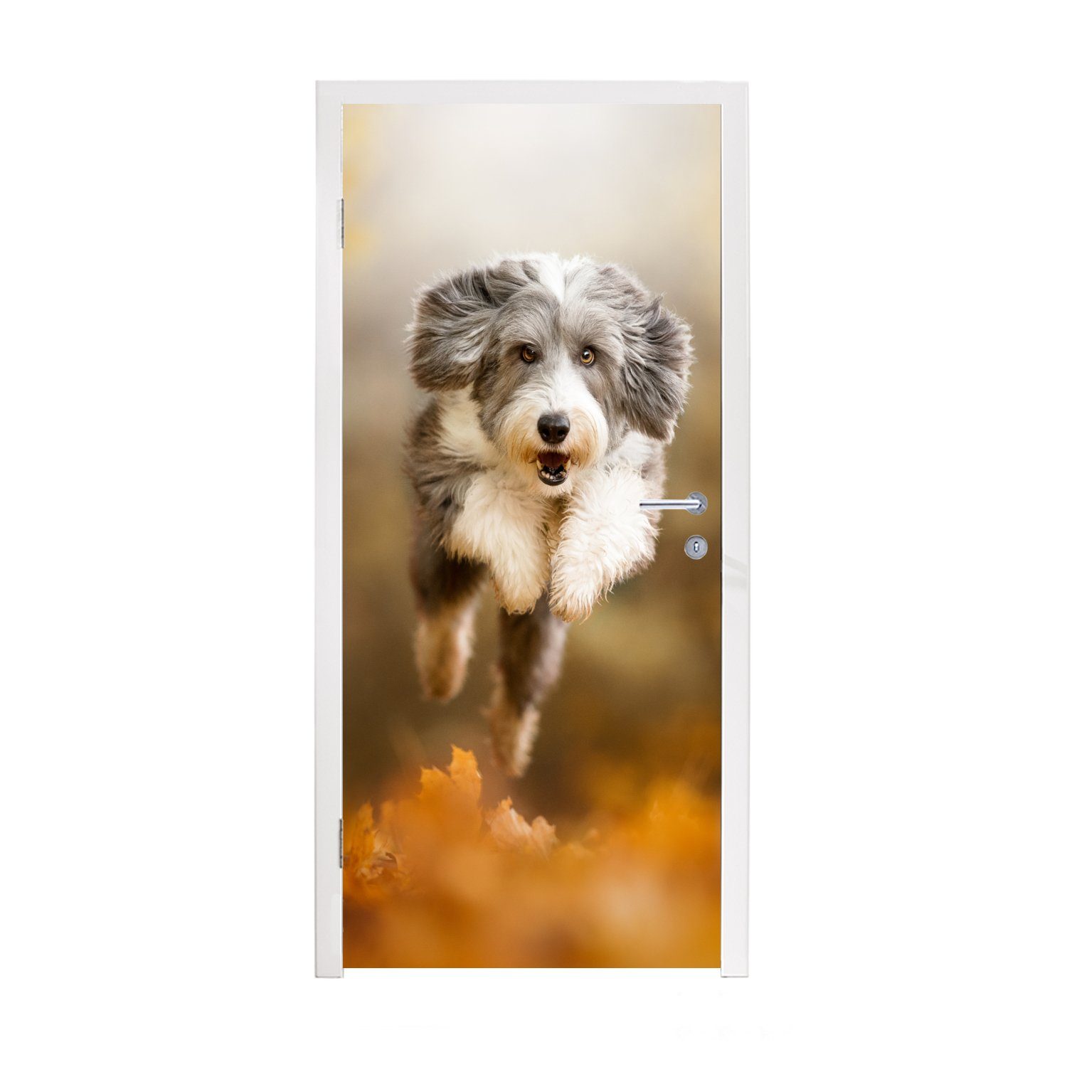MuchoWow Türtapete Hund - Laub - Herbst, Matt, bedruckt, (1 St), Fototapete für Tür, Türaufkleber, 75x205 cm