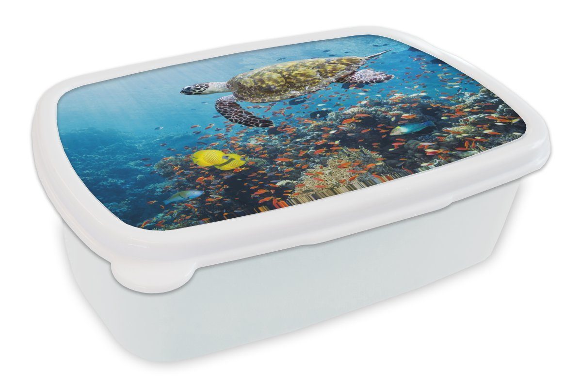 MuchoWow Lunchbox Schildkröte am Korallenriff, Kunststoff, (2-tlg), Brotbox für Kinder und Erwachsene, Brotdose, für Jungs und Mädchen weiß