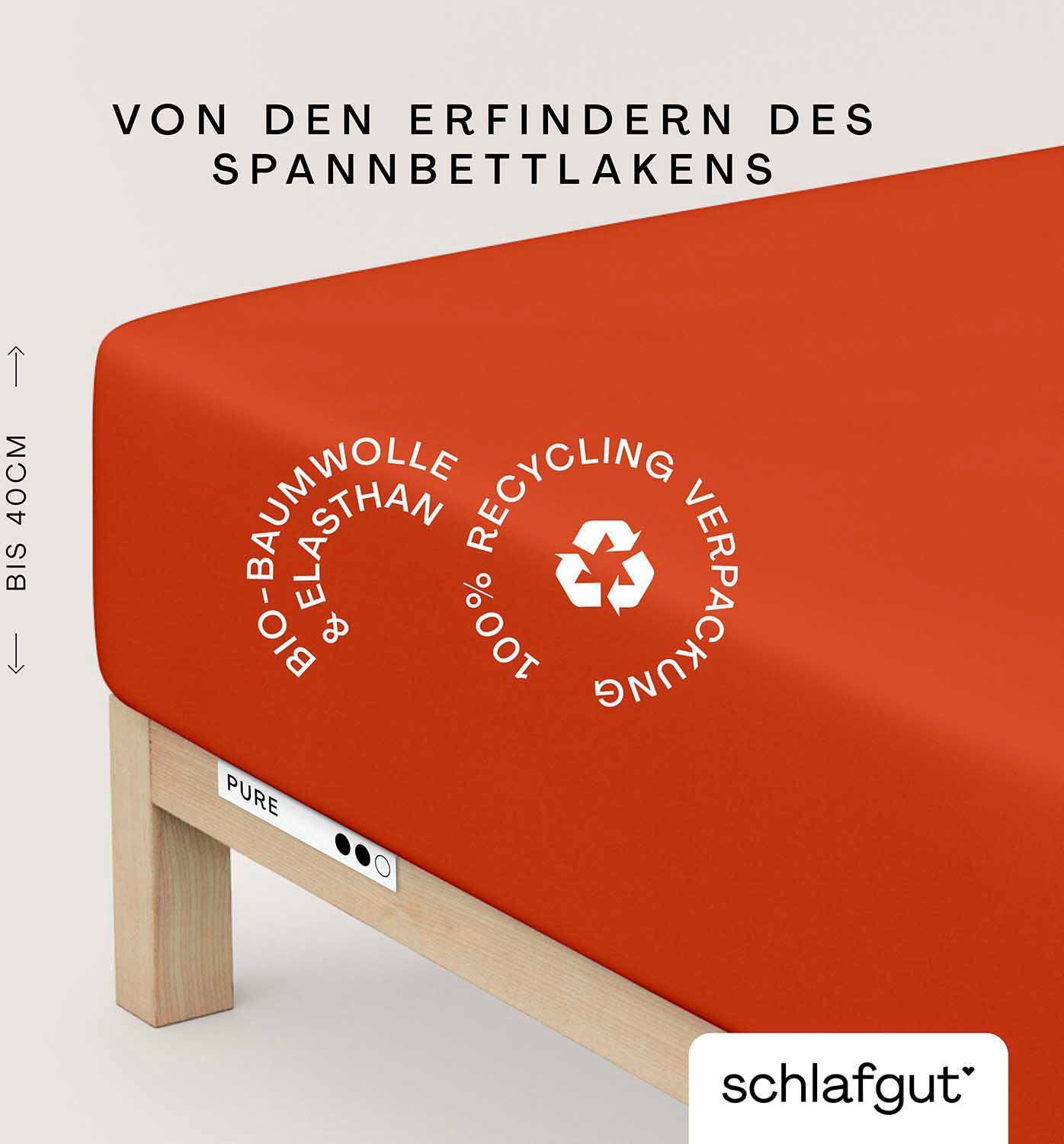 Schlafgut Spannbettlaken PURE BOXSPRING in Gr. günstig online kaufen