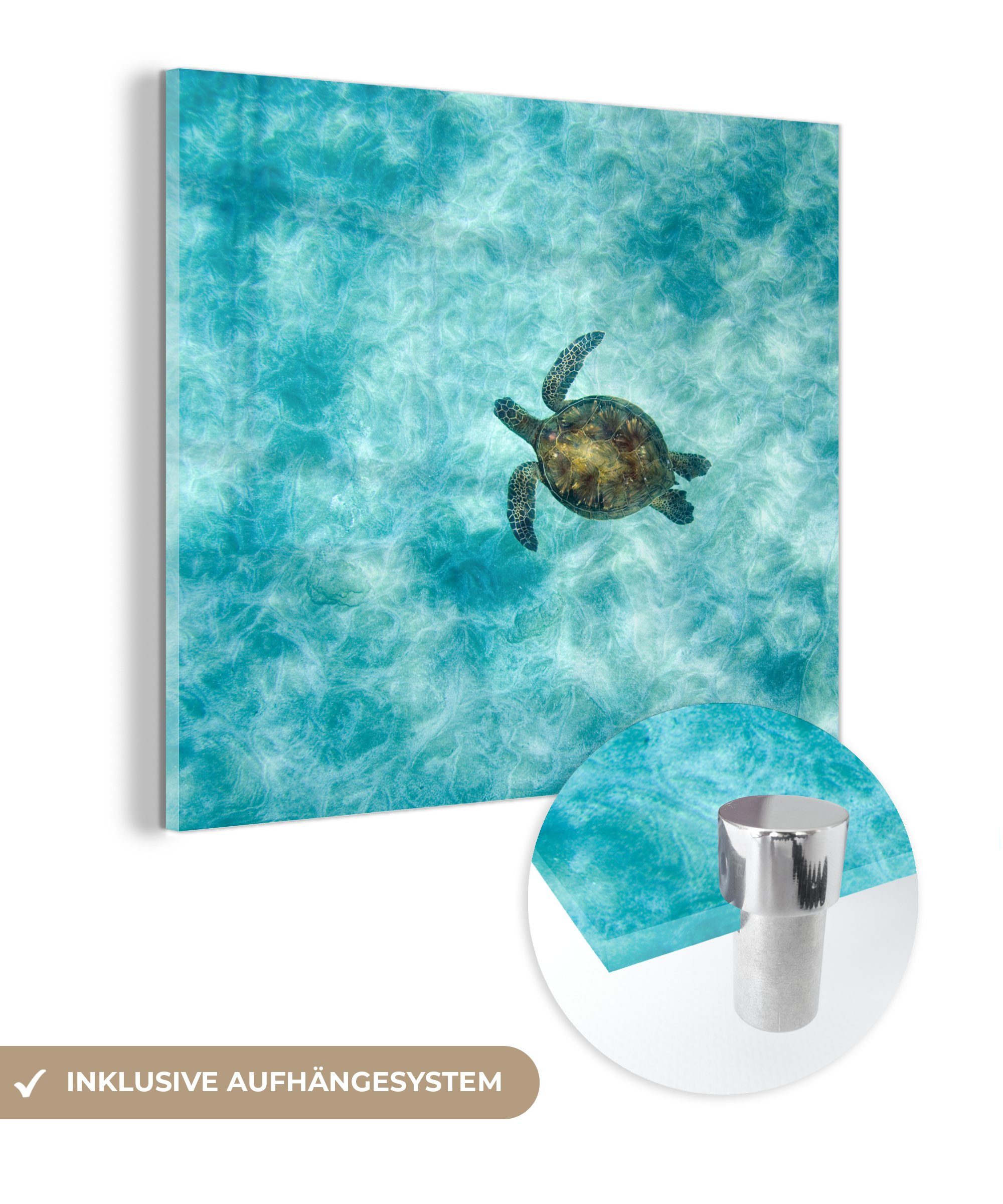 MuchoWow Acrylglasbild Schildkröte im Meer, (1 St), Glasbilder - Bilder auf Glas Wandbild - Foto auf Glas - Wanddekoration