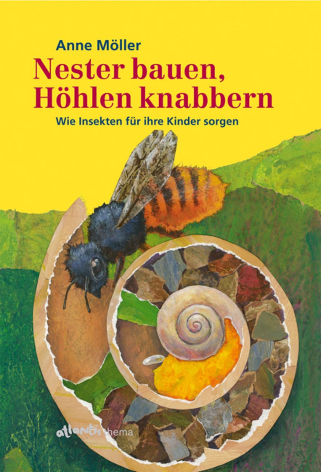 Nester bauen, Höhlen knabbern / Anne Möller