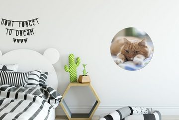 MuchoWow Gemälde Katze - Bett - Tagesdecke - Mädchen - Kinder - Kinder - Kind, (1 St), Kreis Wanddekoration Forex, Rundes Wandbild, Wohnzimmer, 30x30 cm