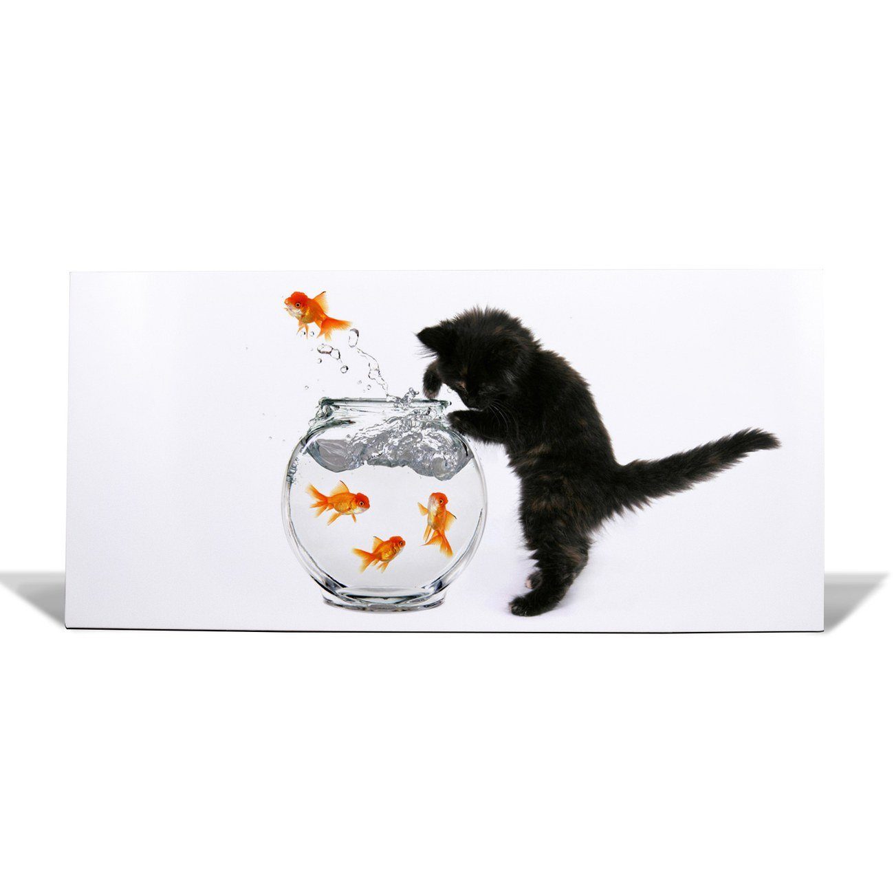 banjado Wandtafel Magnete, Und Stahlmagnettafel) 4 Katze weiß Fisch, (inkl. Stahl