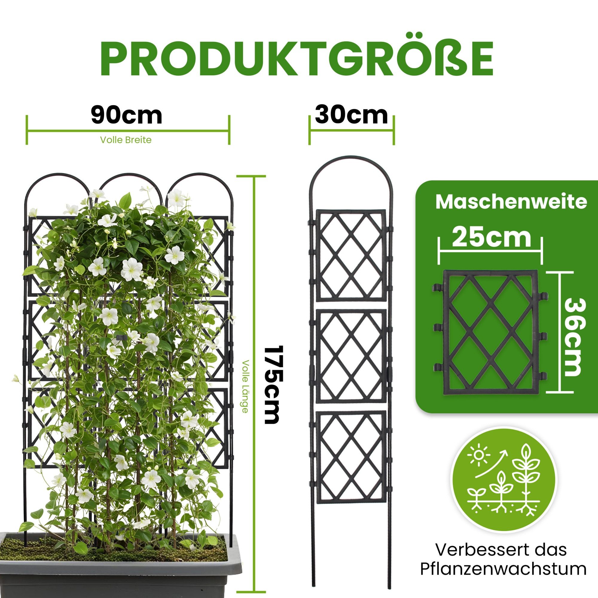 Gartenwelt Riegelsberger Rankhilfe Wandspalier mit Bogen günstig online kaufen